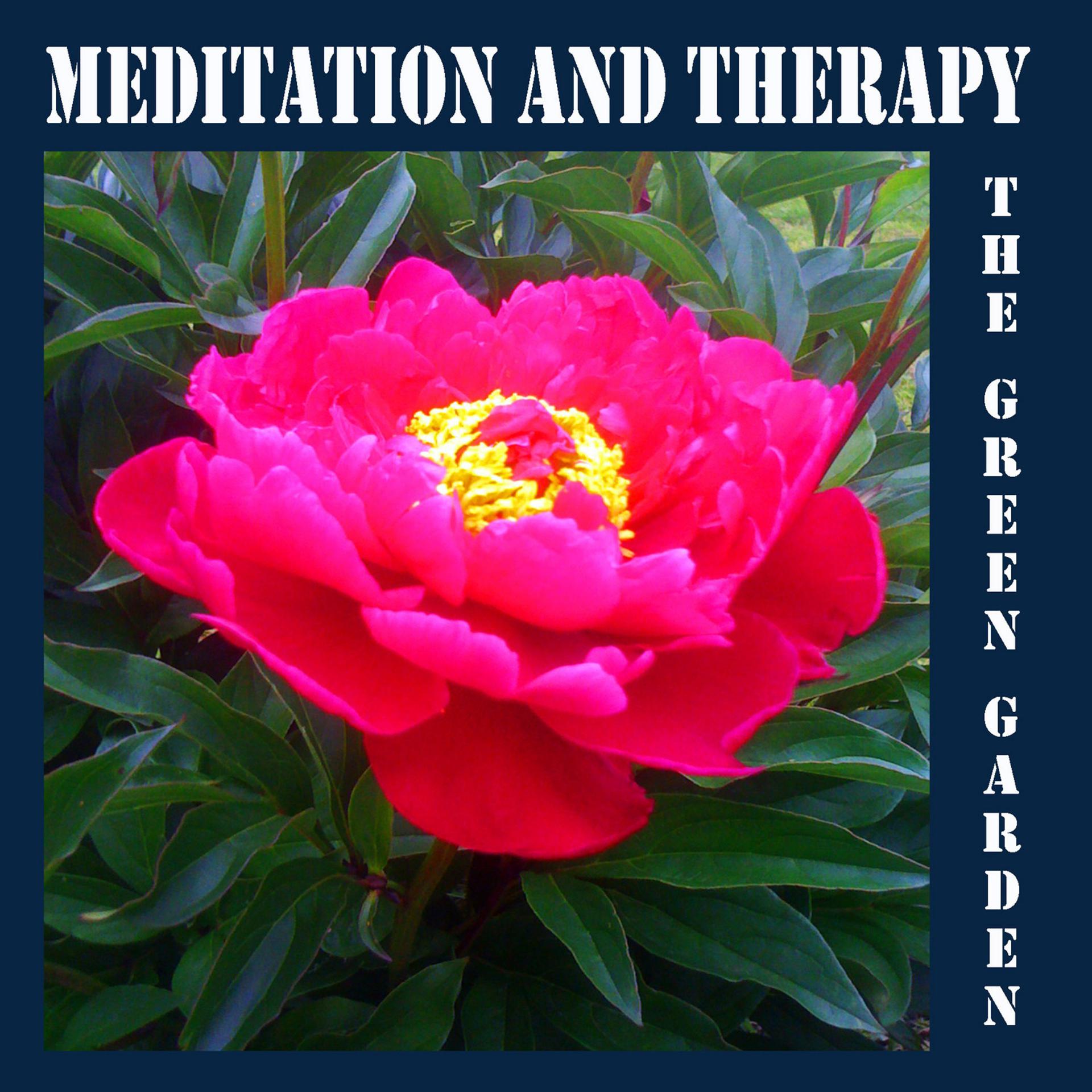 Постер альбома Meditation and Therapy