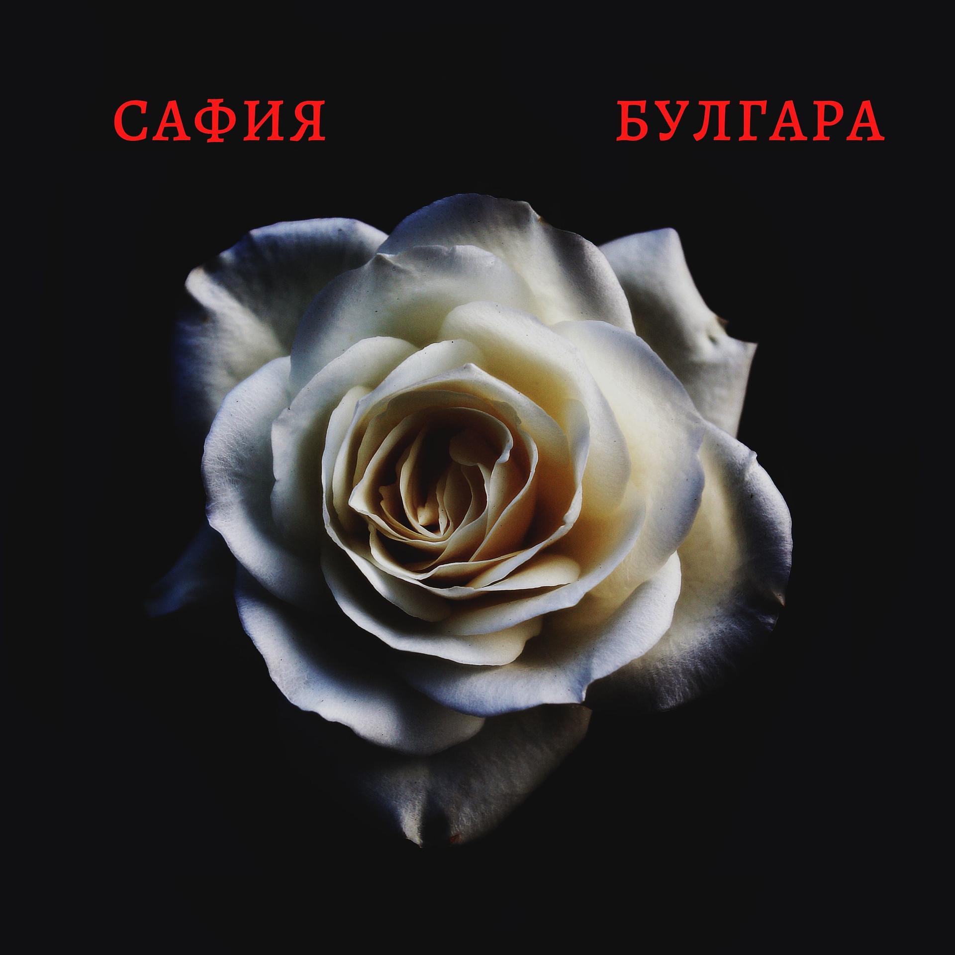 Постер альбома Сафия