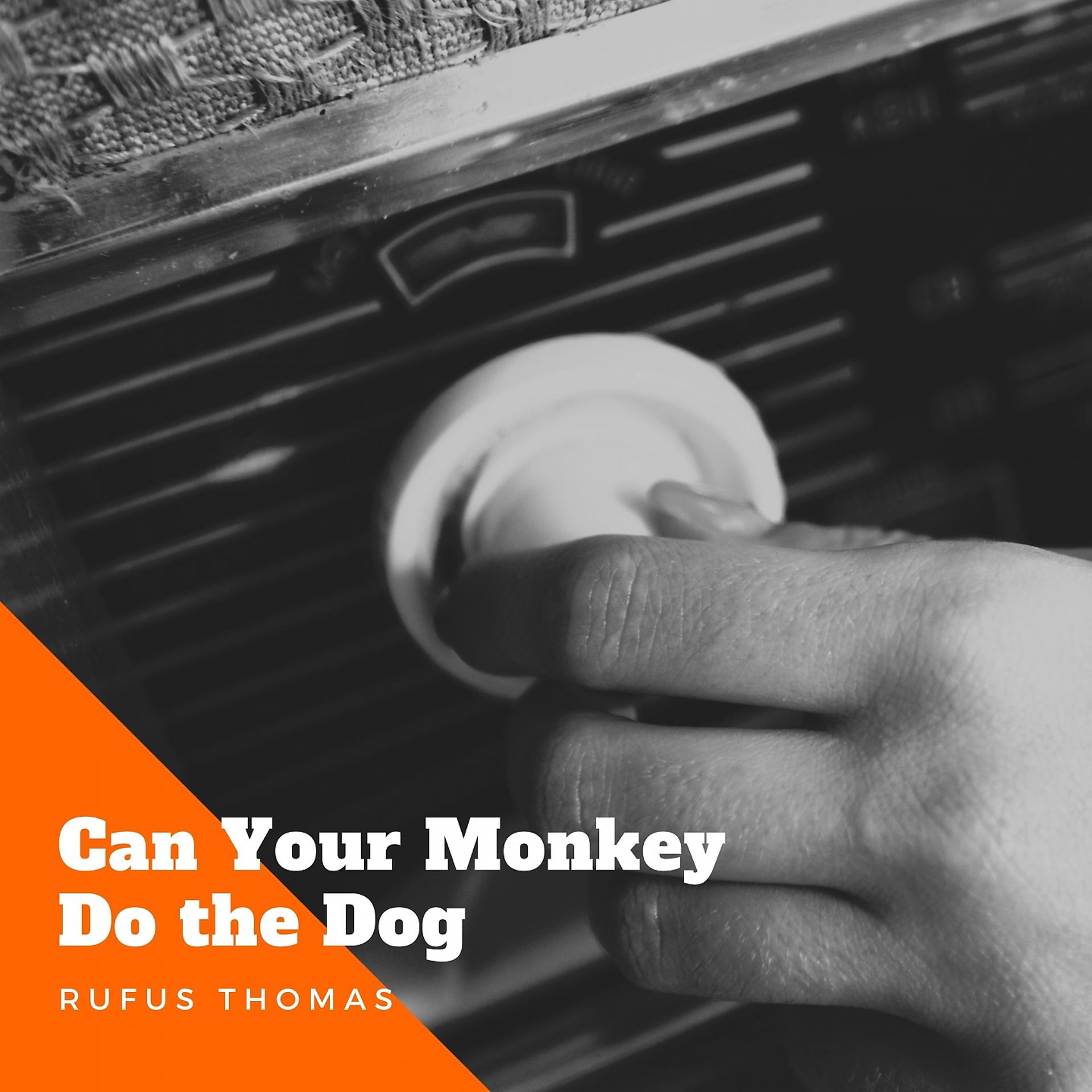 Постер альбома Can Your Monkey Do the Dog