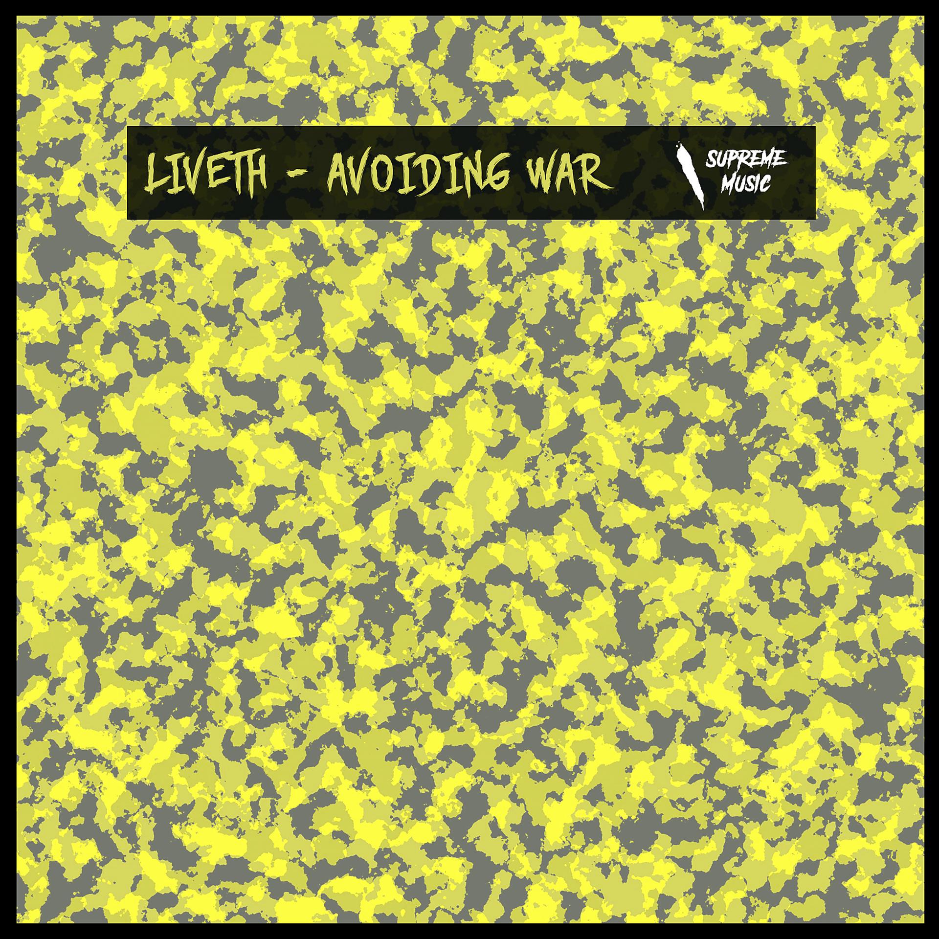 Постер альбома Avoiding War