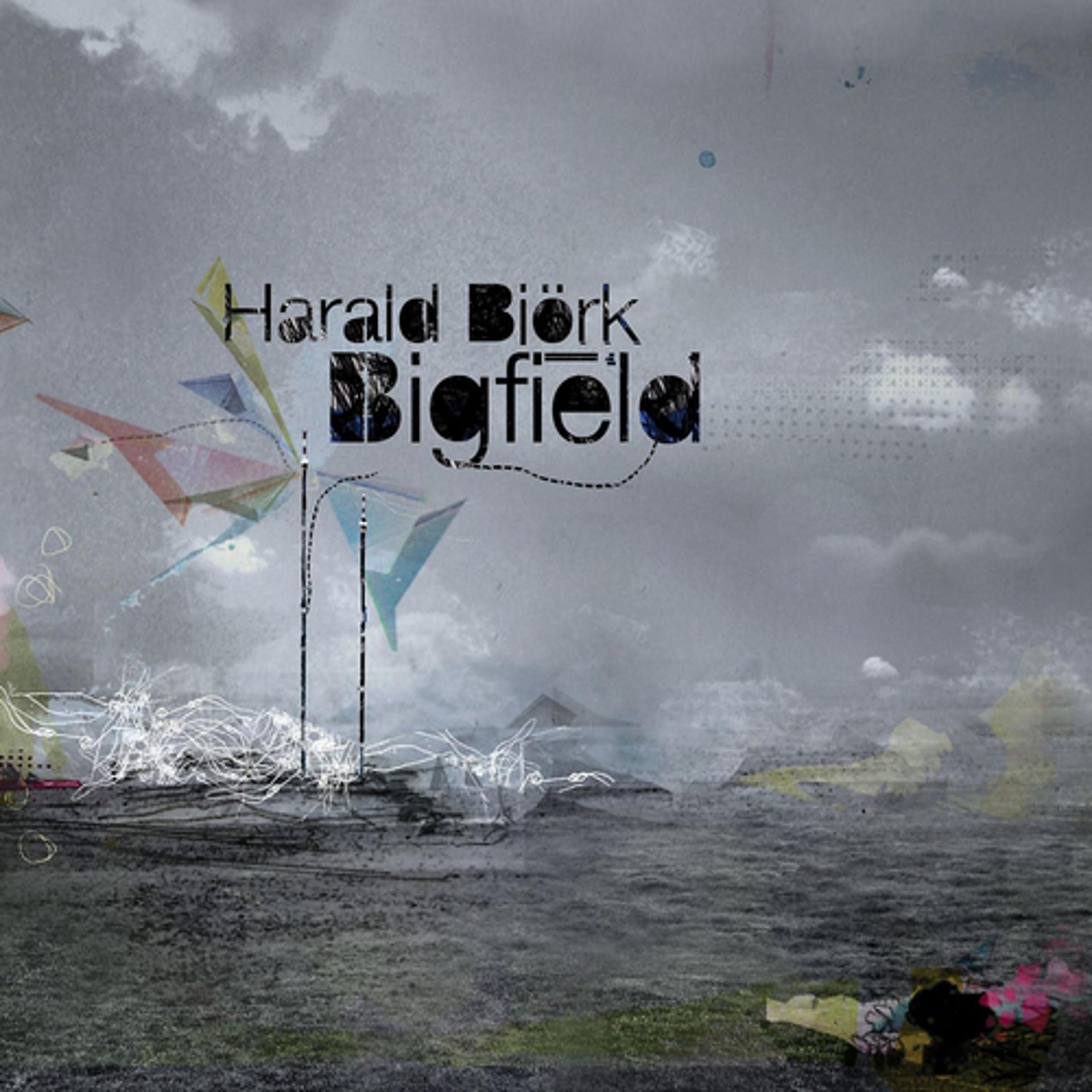 Постер альбома Bigfield