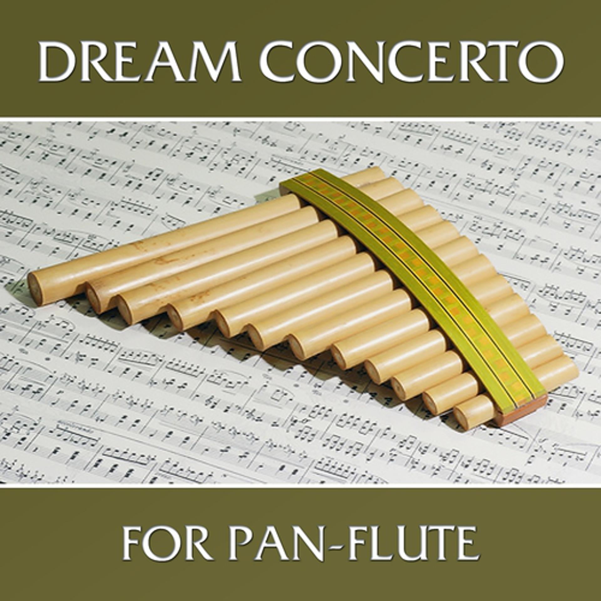 Постер альбома Dream Concerto for Pan-Flute
