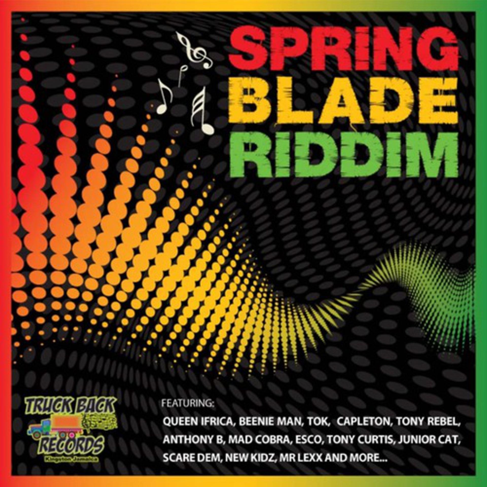 Постер альбома Springblade Riddim