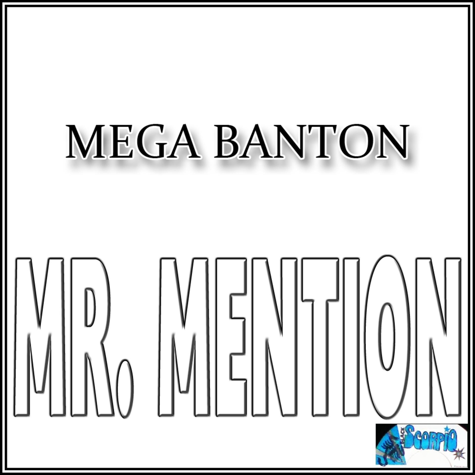 Постер альбома Mr. Mention
