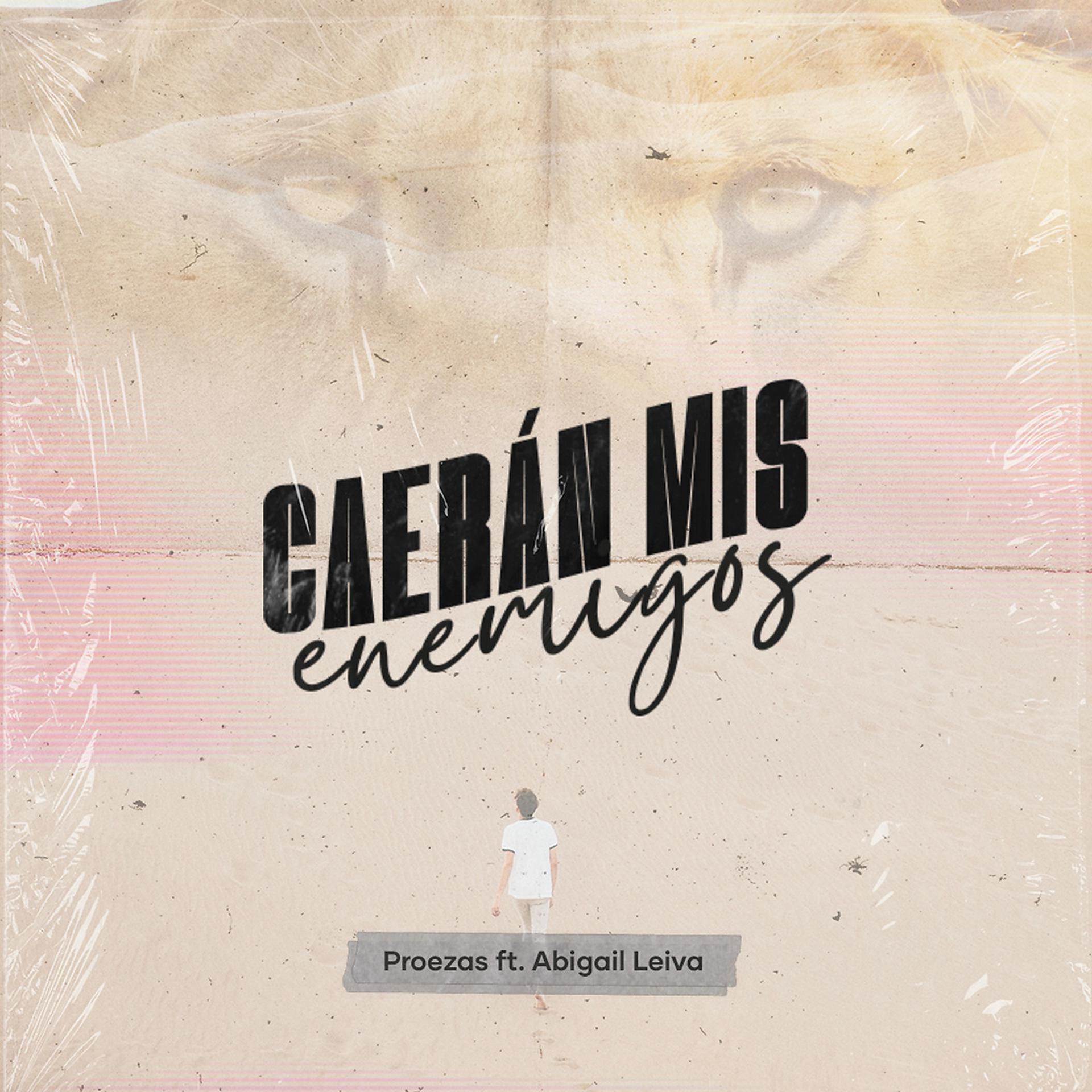 Постер альбома Caerán Mis Enemigos