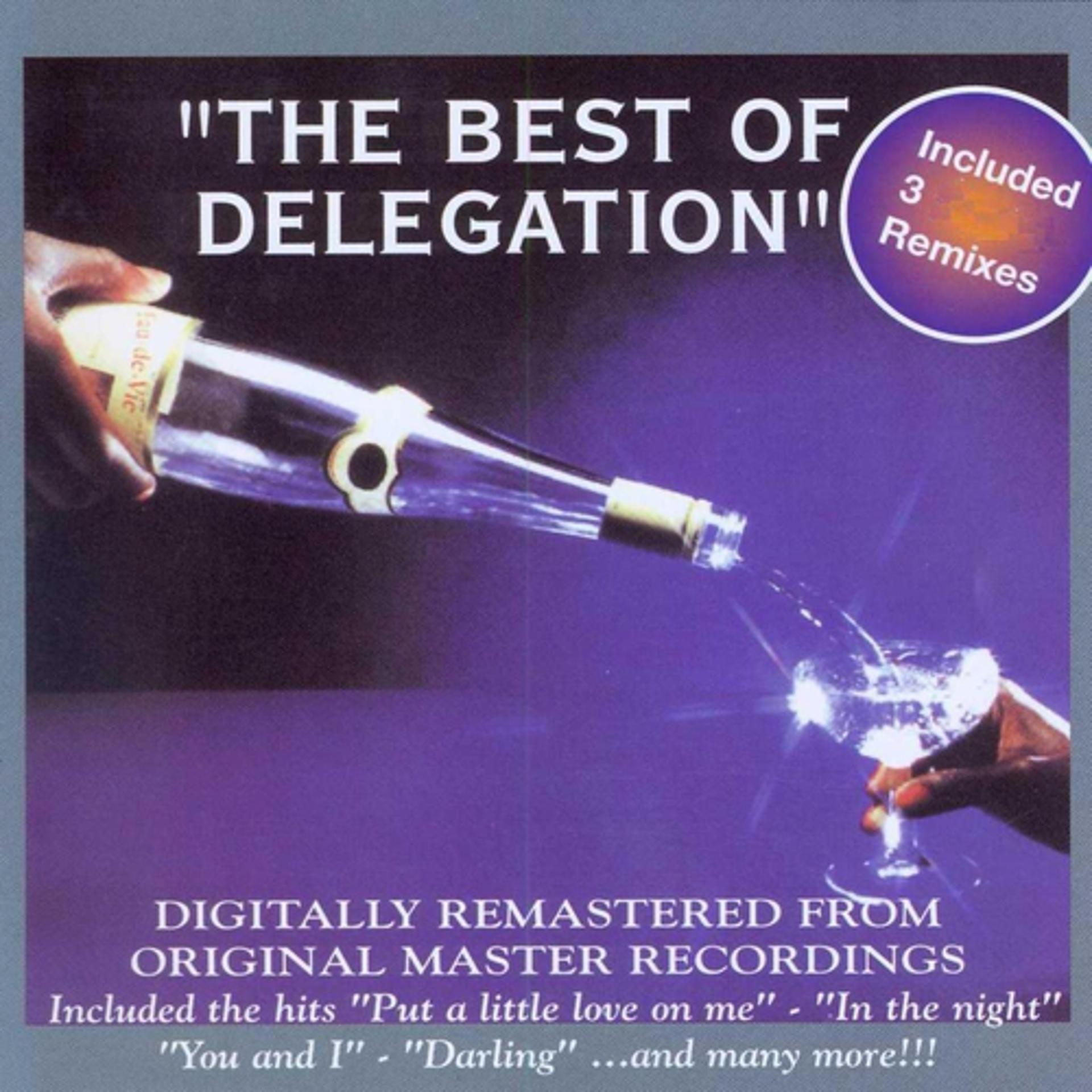 Постер альбома The Best of Delegation