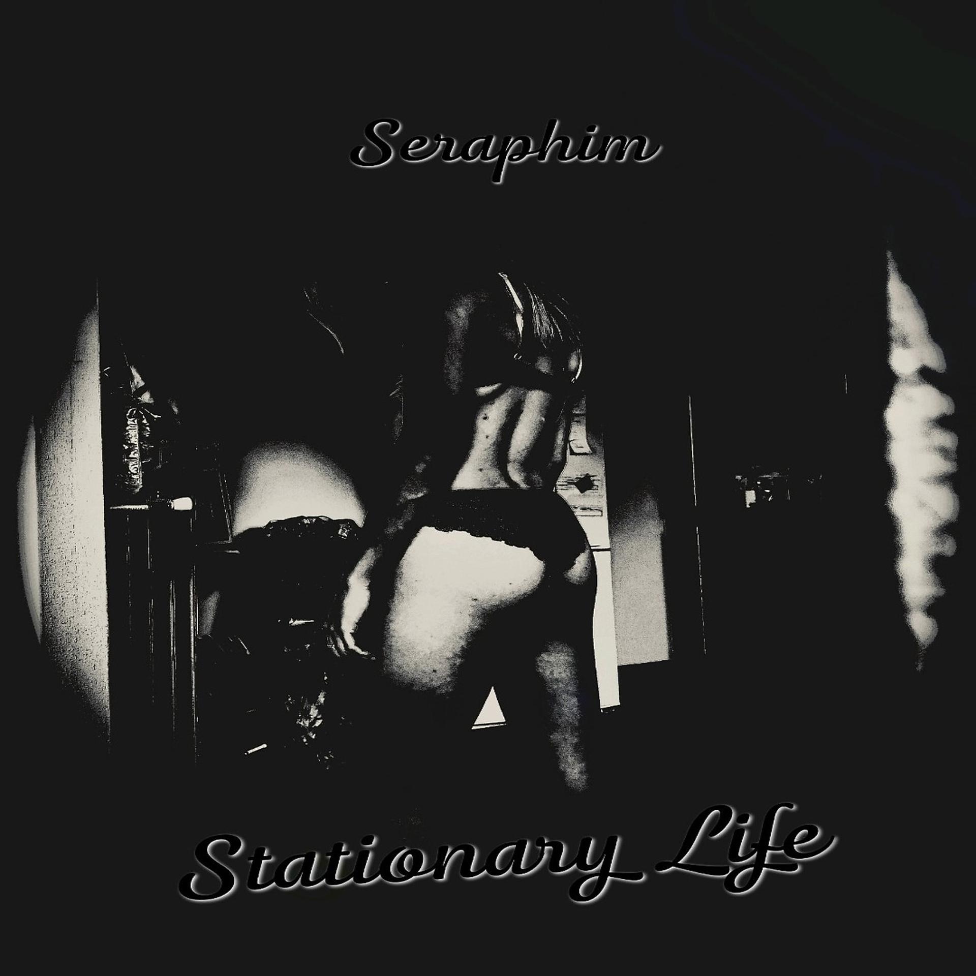 Постер альбома Stationary Life
