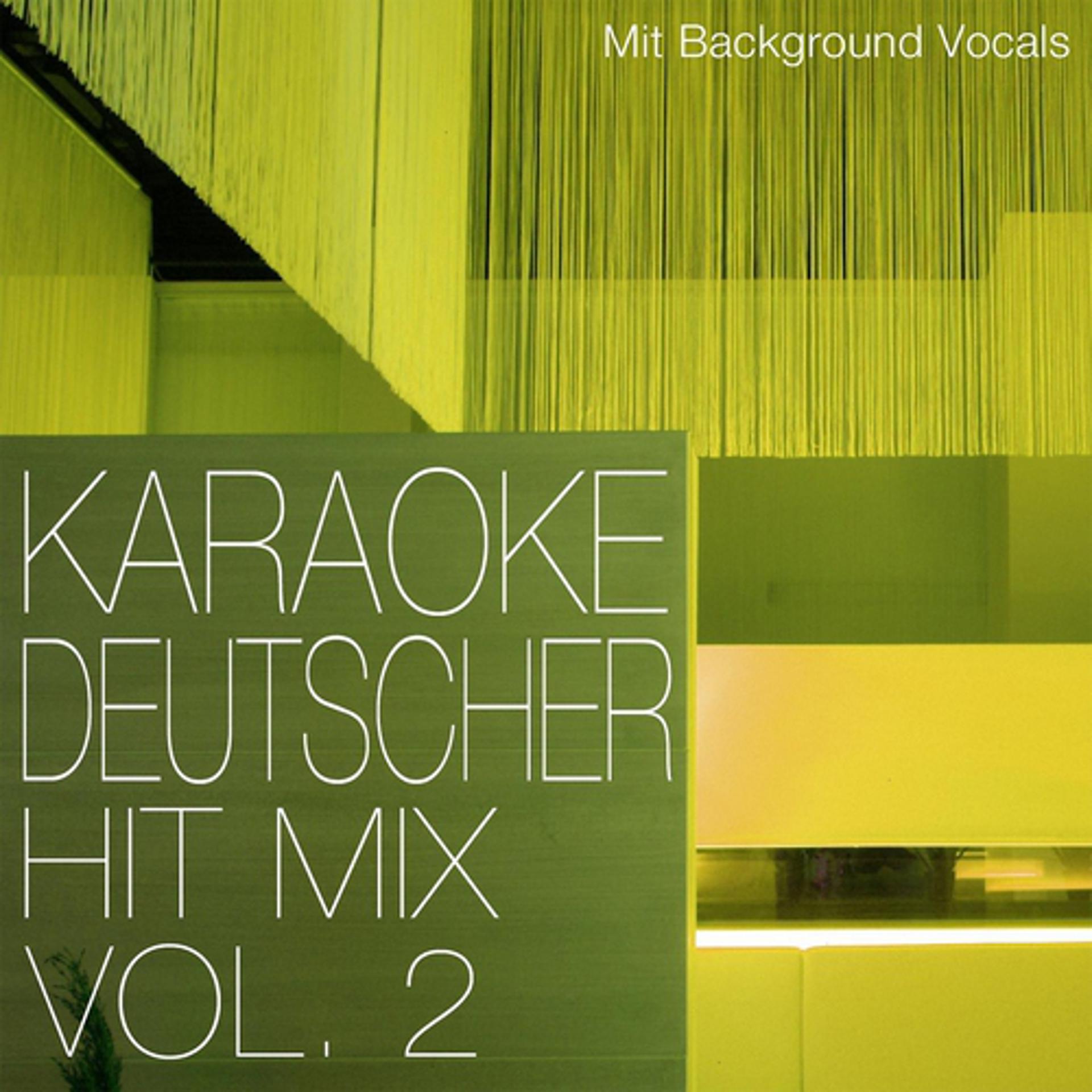 Постер альбома Deutscher Hit Mix, Vol. 2