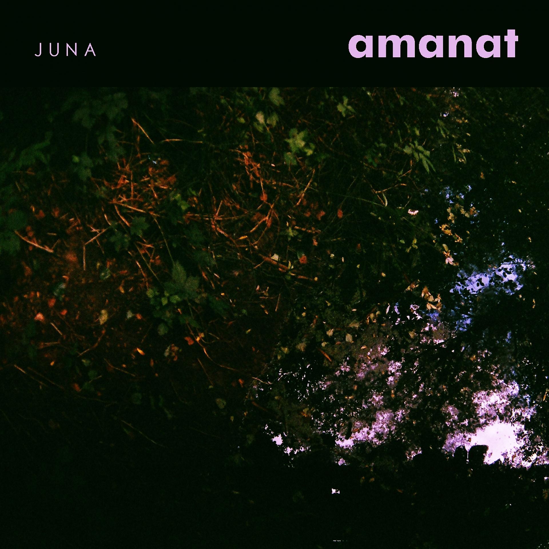 Постер альбома Amanat