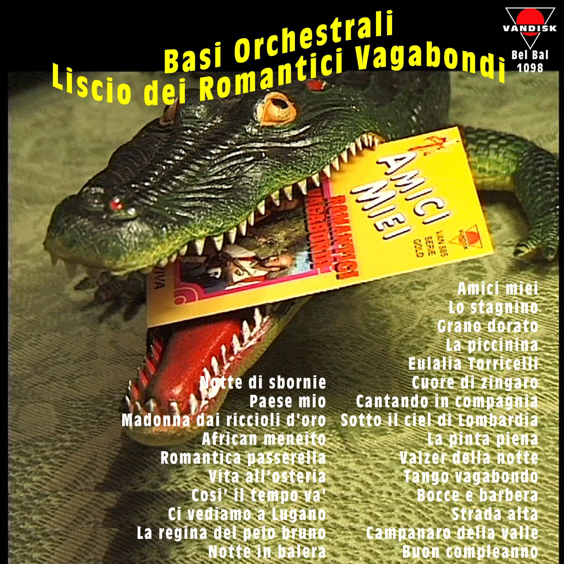 Постер альбома Basi orchestrali, vol. 1