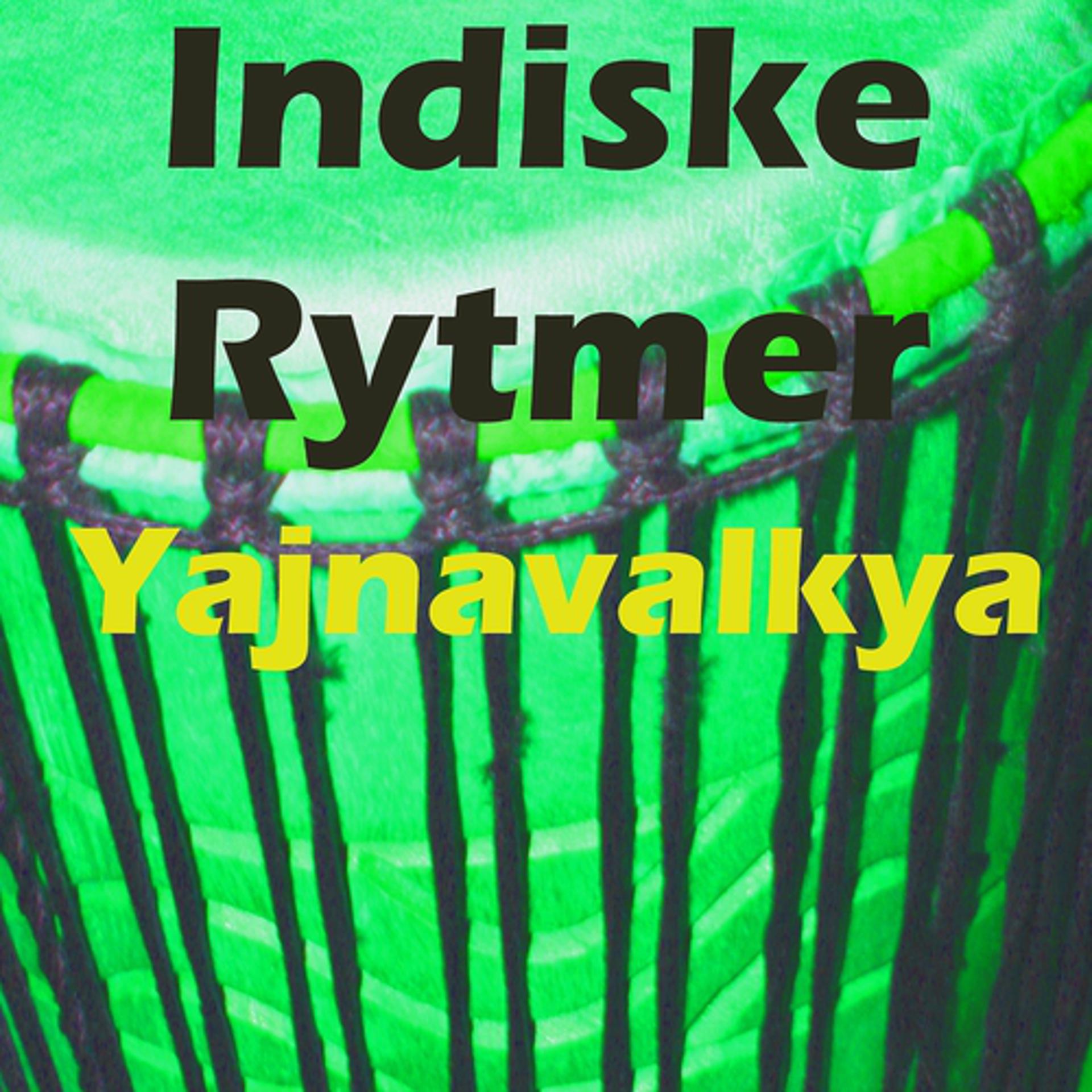 Постер альбома Indiske rytmer