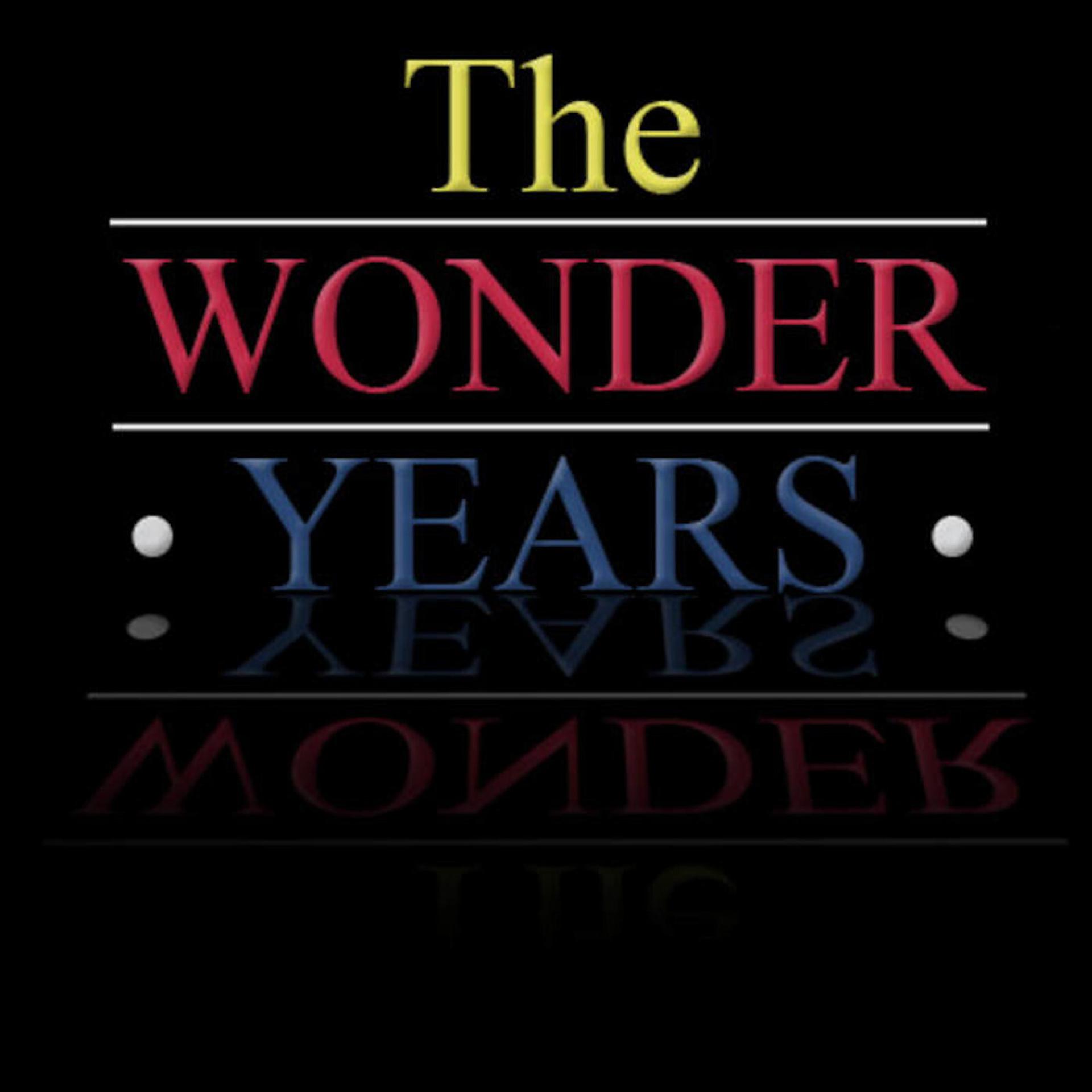 Постер альбома The Wonder Years Compilation (2005-2008)