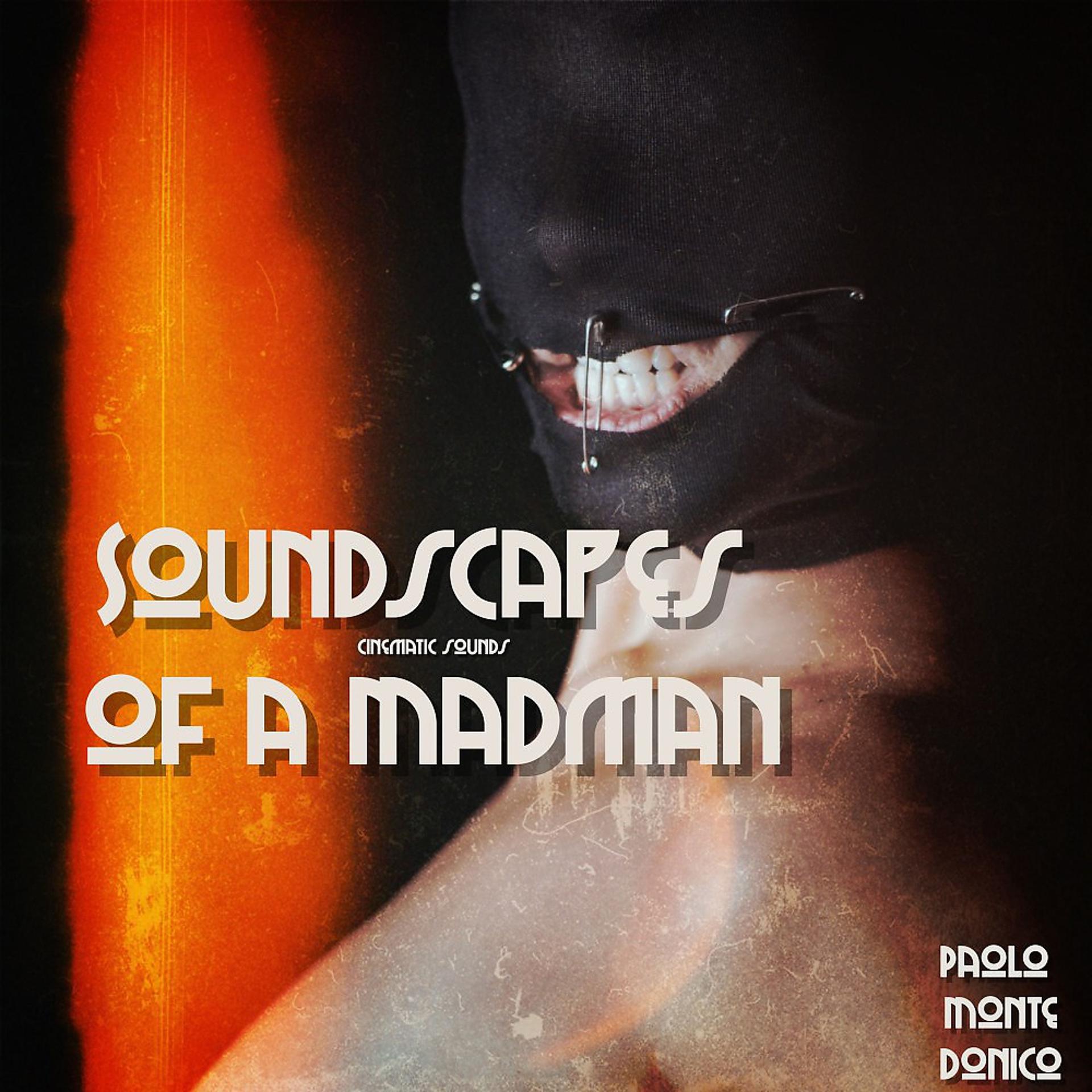 Постер альбома Soundscapes of a Madman: Cinematic Sounds