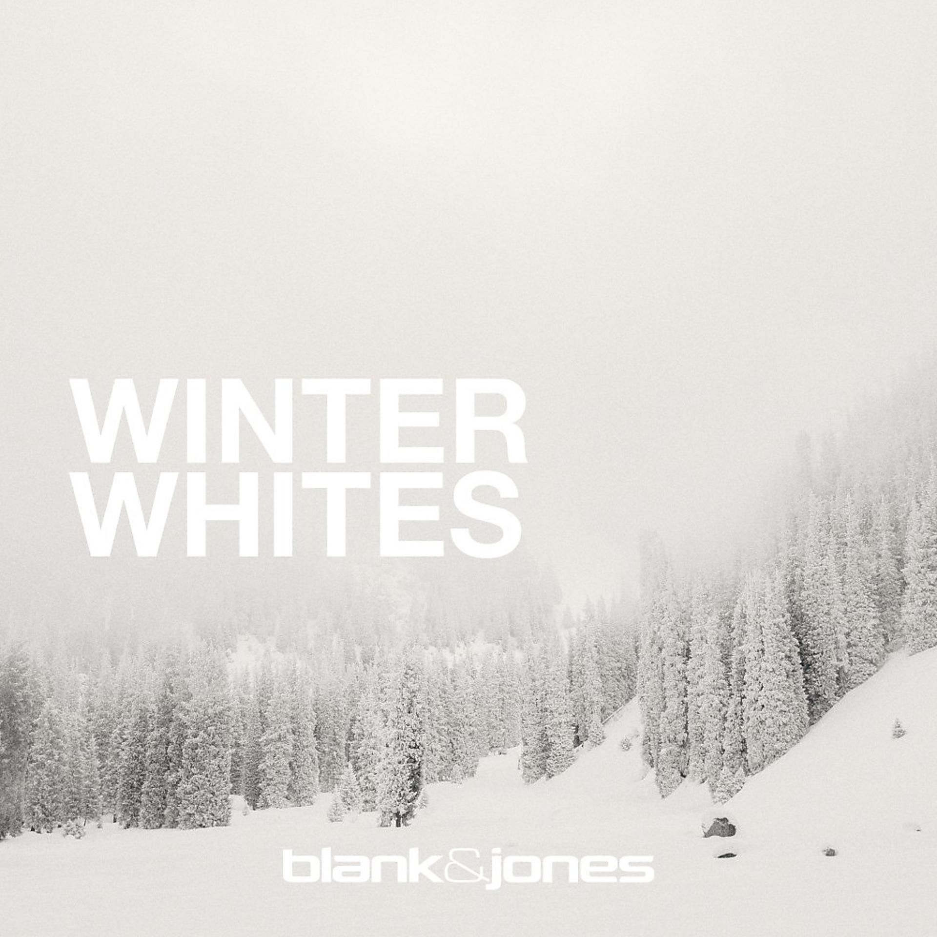 Постер альбома Winter Whites