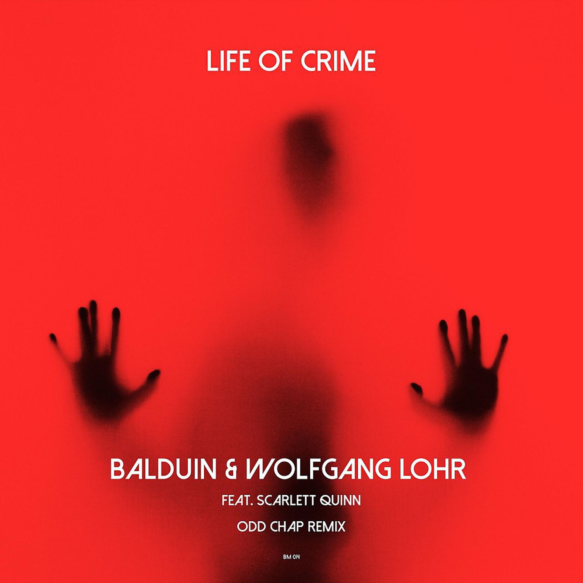 Постер альбома Life of Crime (Odd Chap Remix)