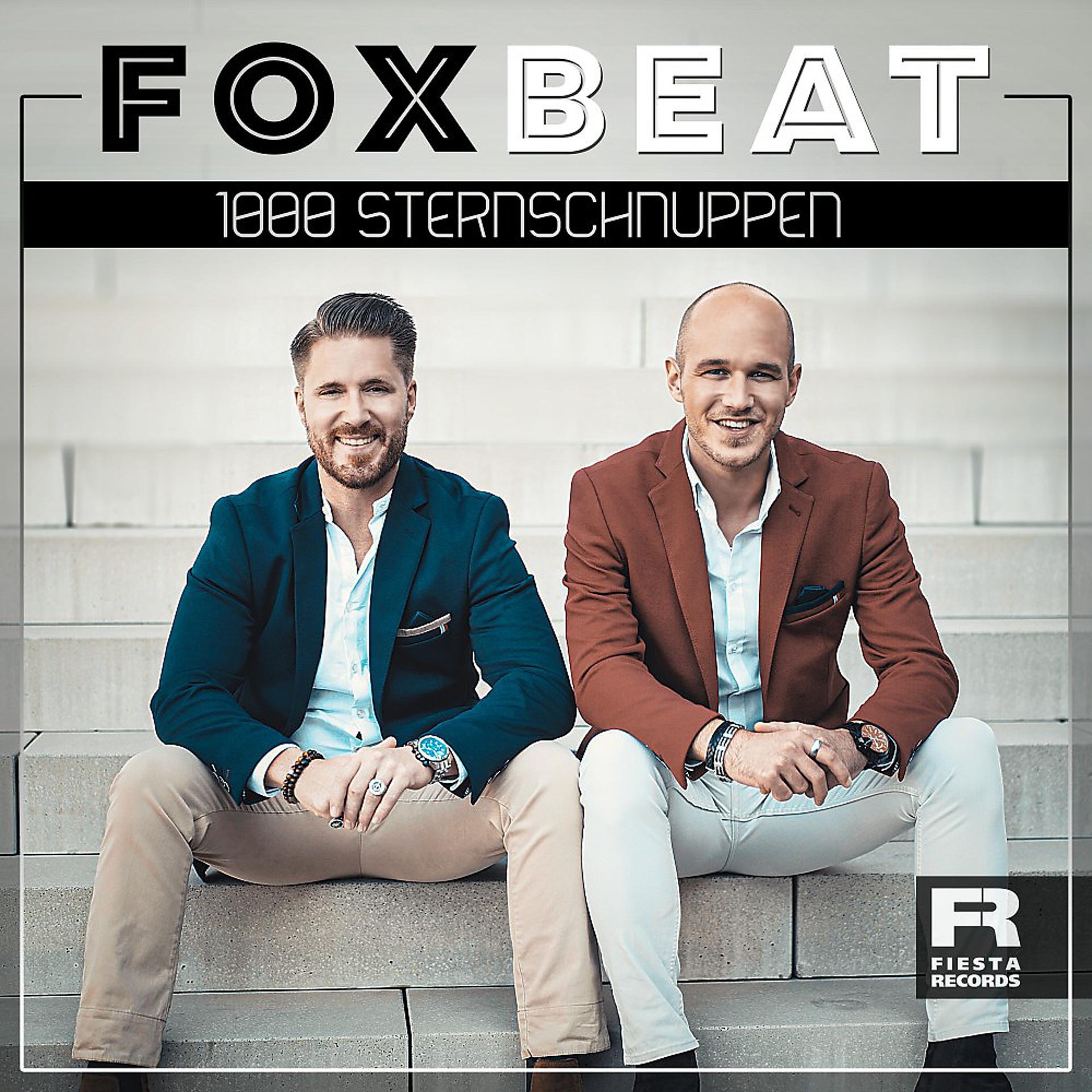 Постер альбома 1000 Sternschnuppen