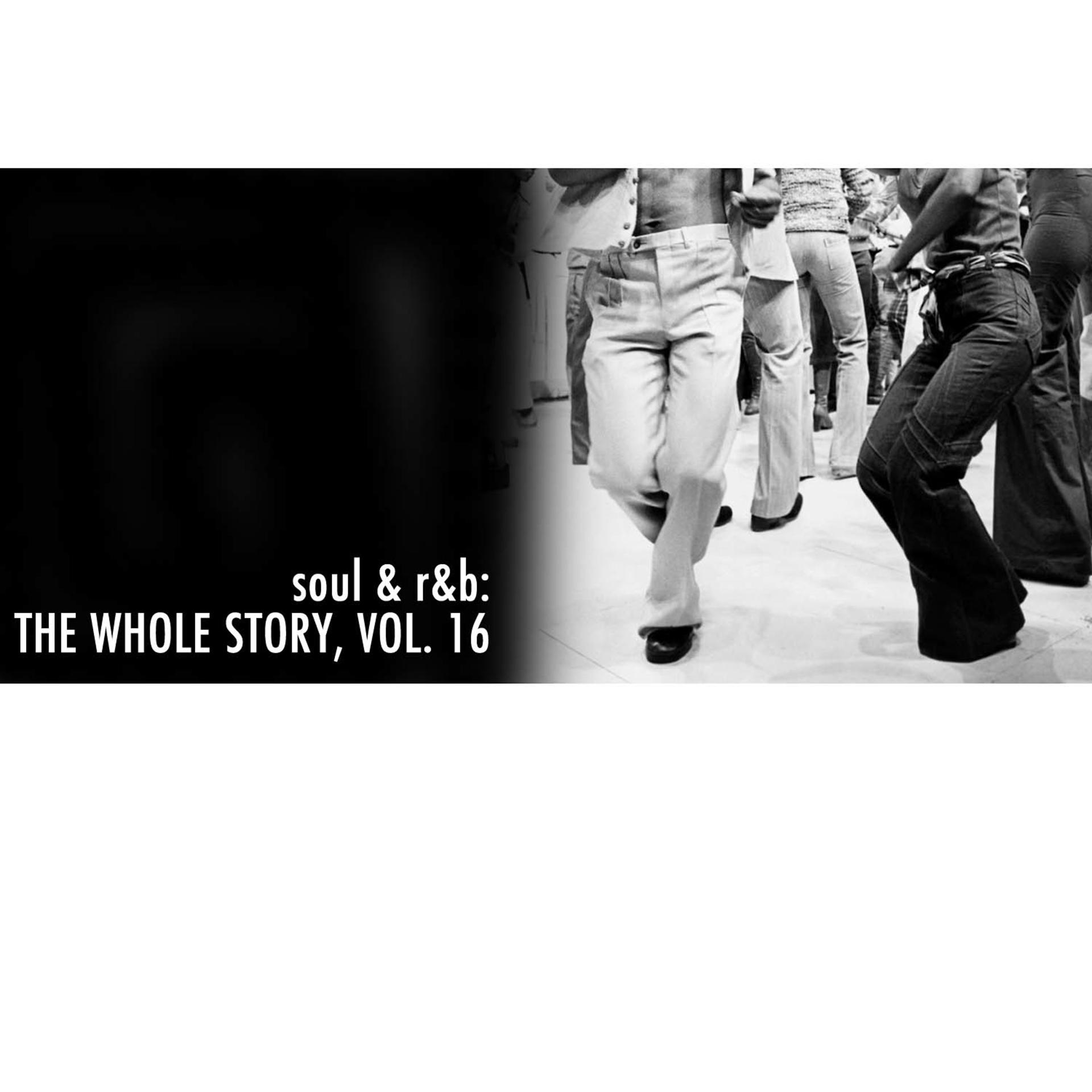Постер альбома Soul & R&B: The Whole Story, Vol. 16