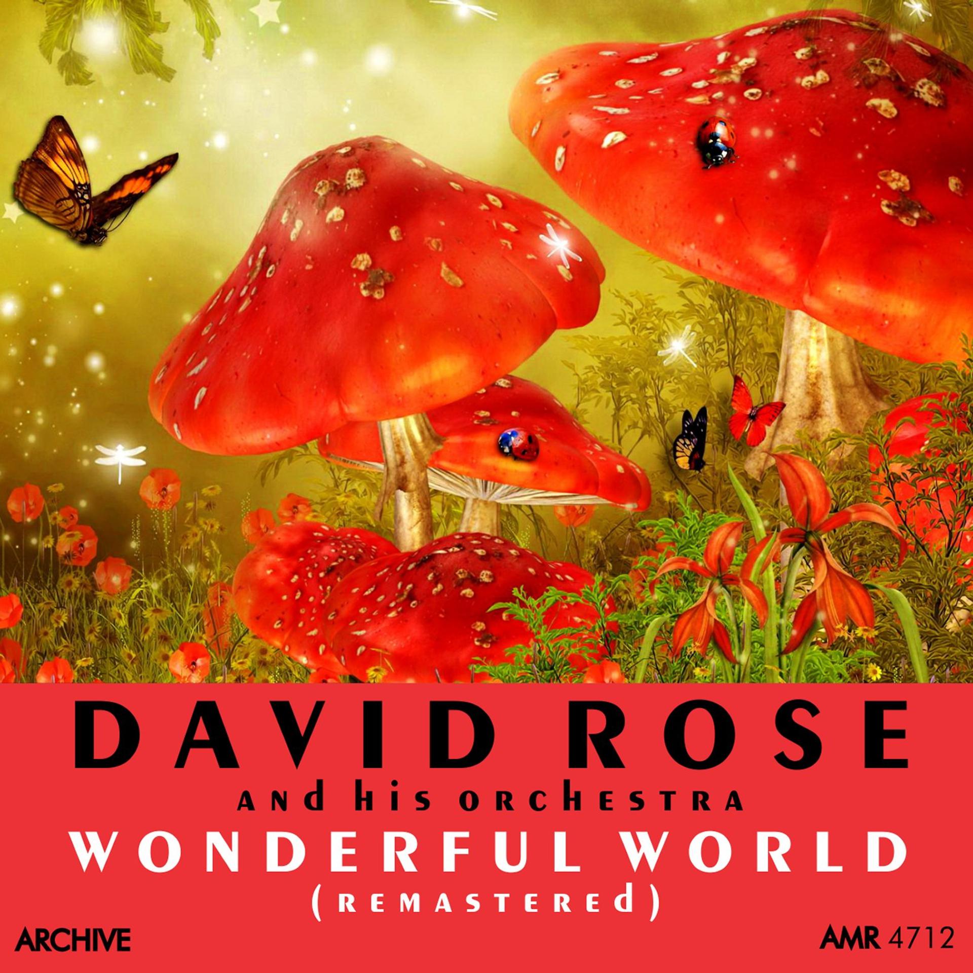 Постер альбома Wonderful World (Remastered)
