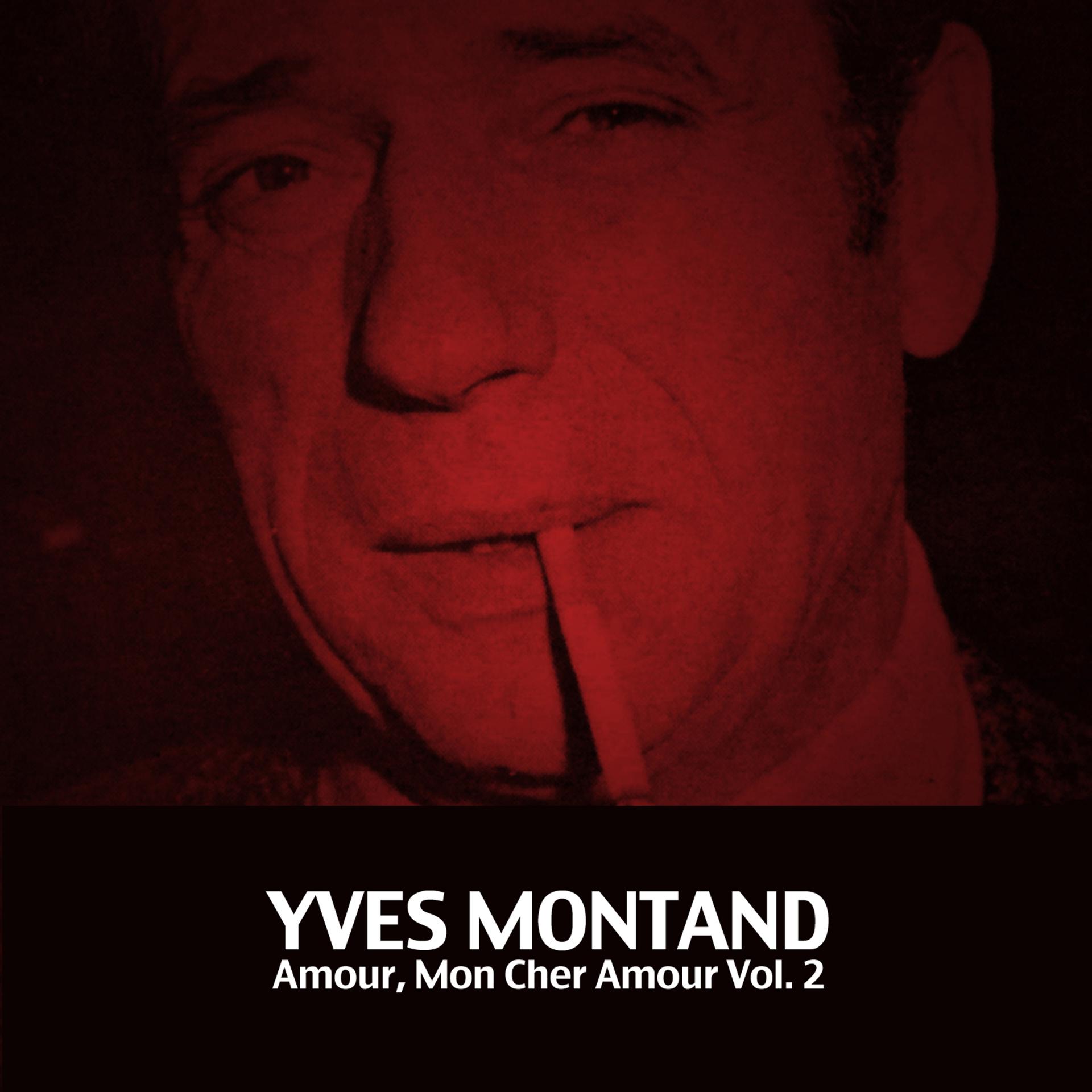 Постер альбома Amour, Mon Cher Amour, Vol. 2