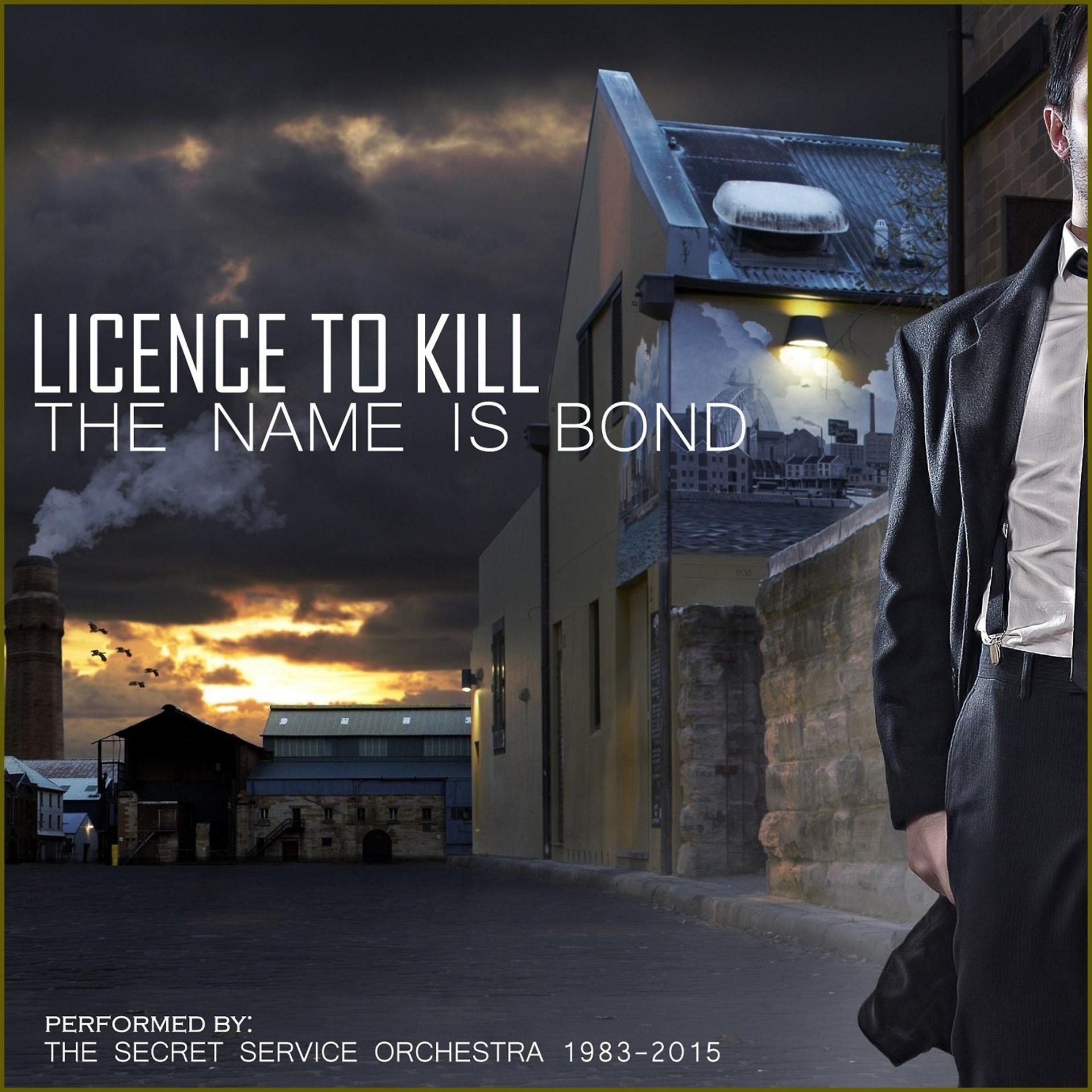 Постер альбома License to Kill