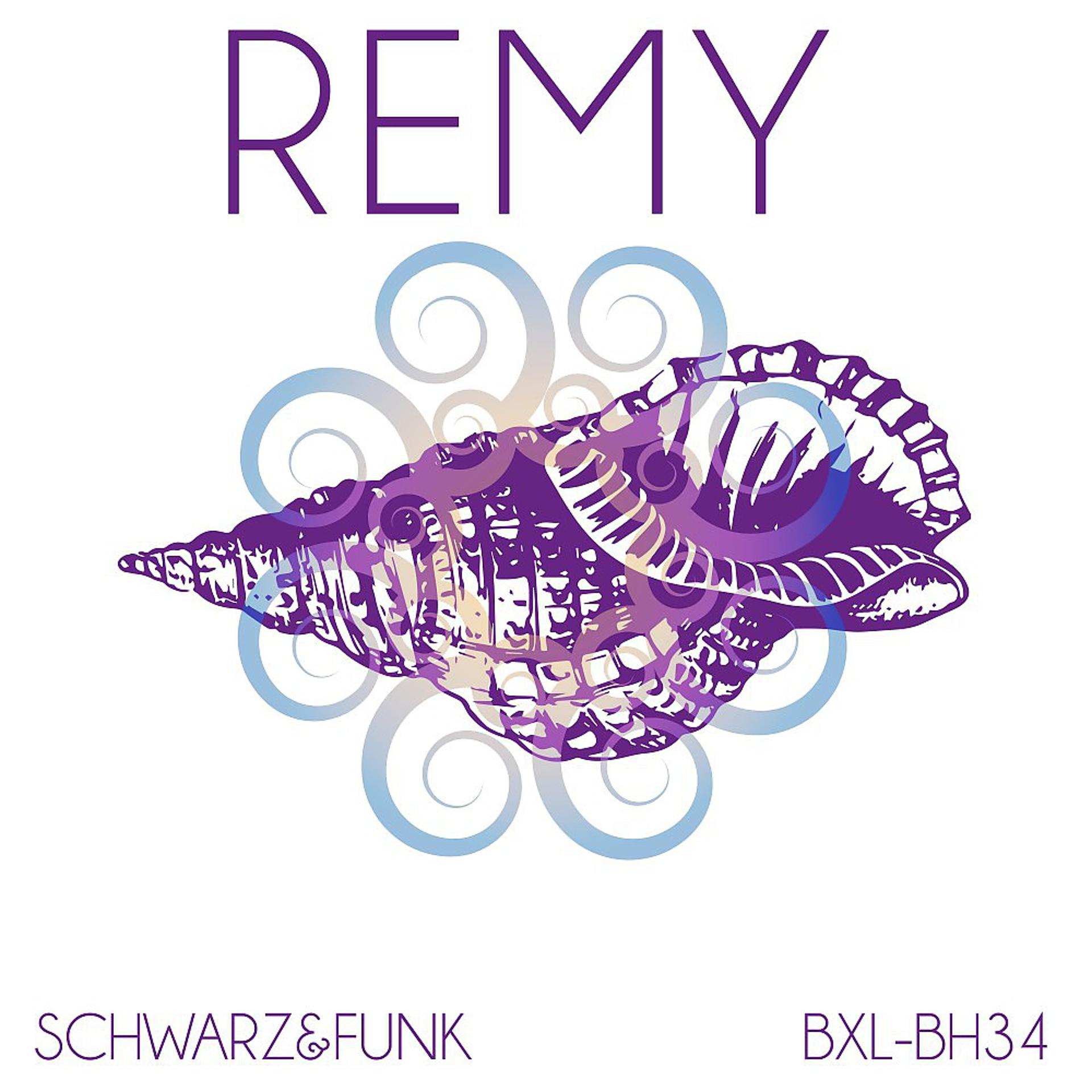Постер альбома Remy