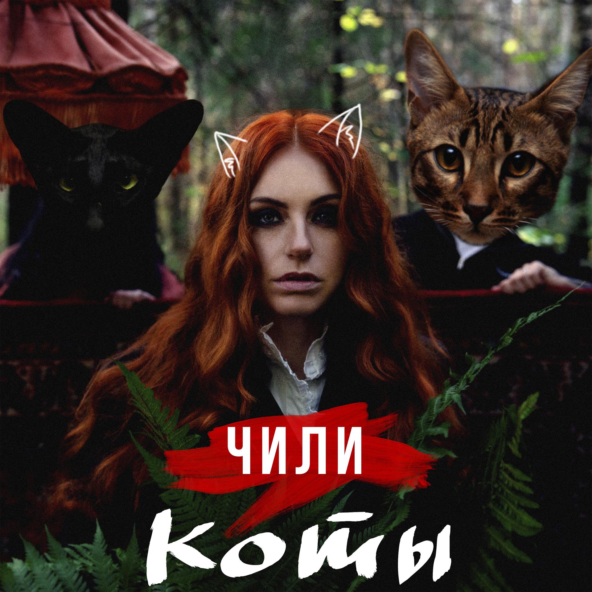 Постер альбома Коты
