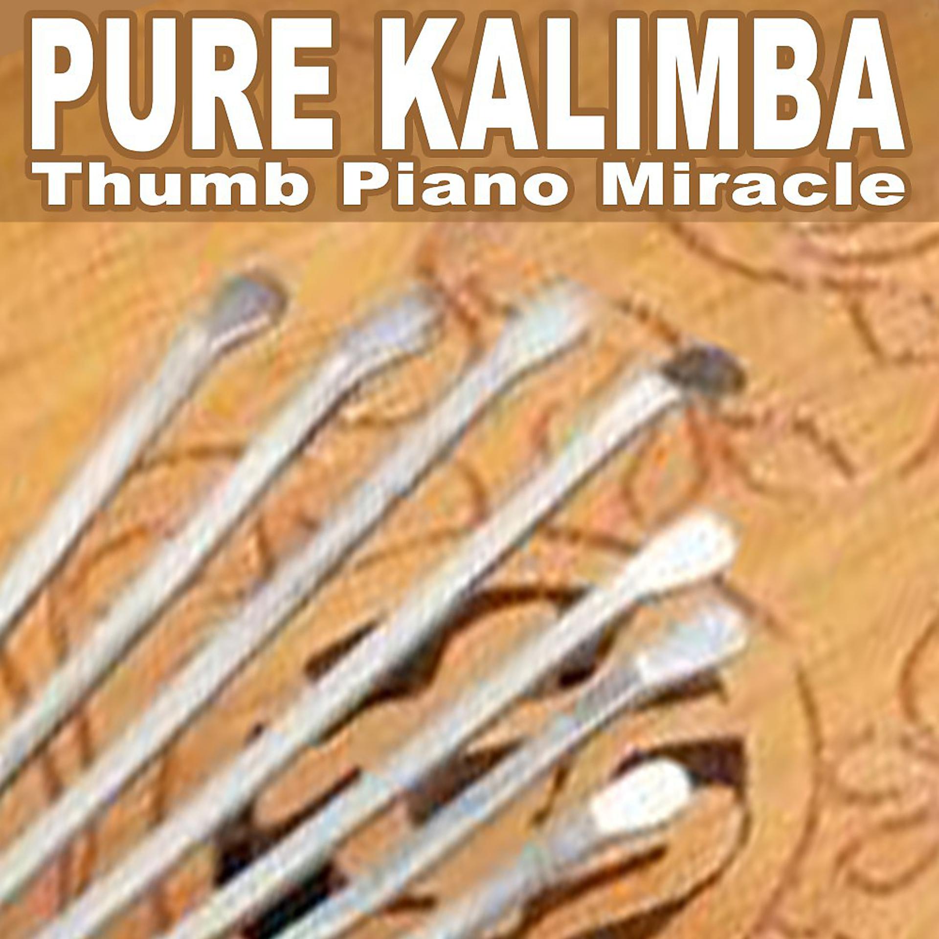Постер альбома Thumb Piano Miracle