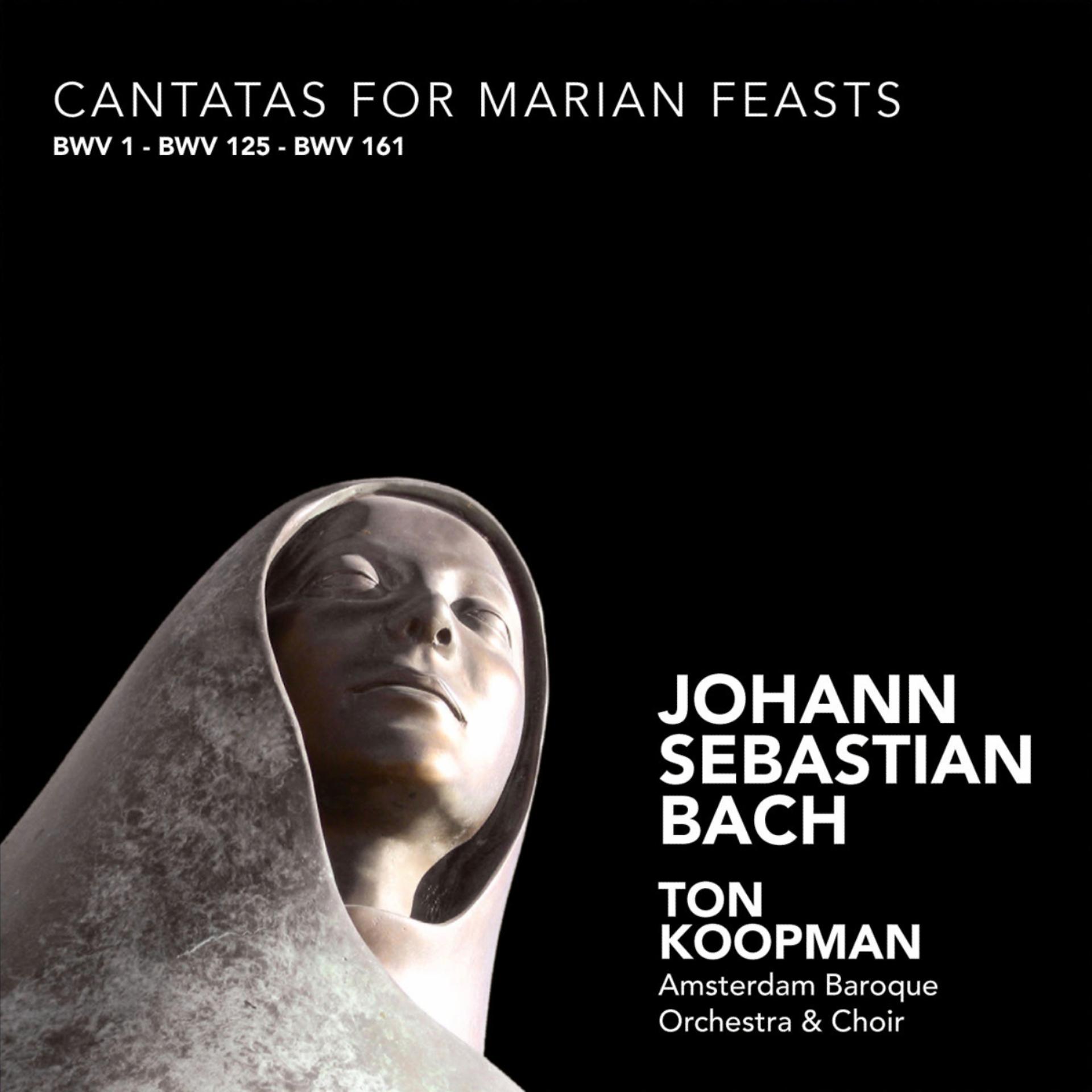 Постер альбома Bach: Cantatas for Marian Feasts