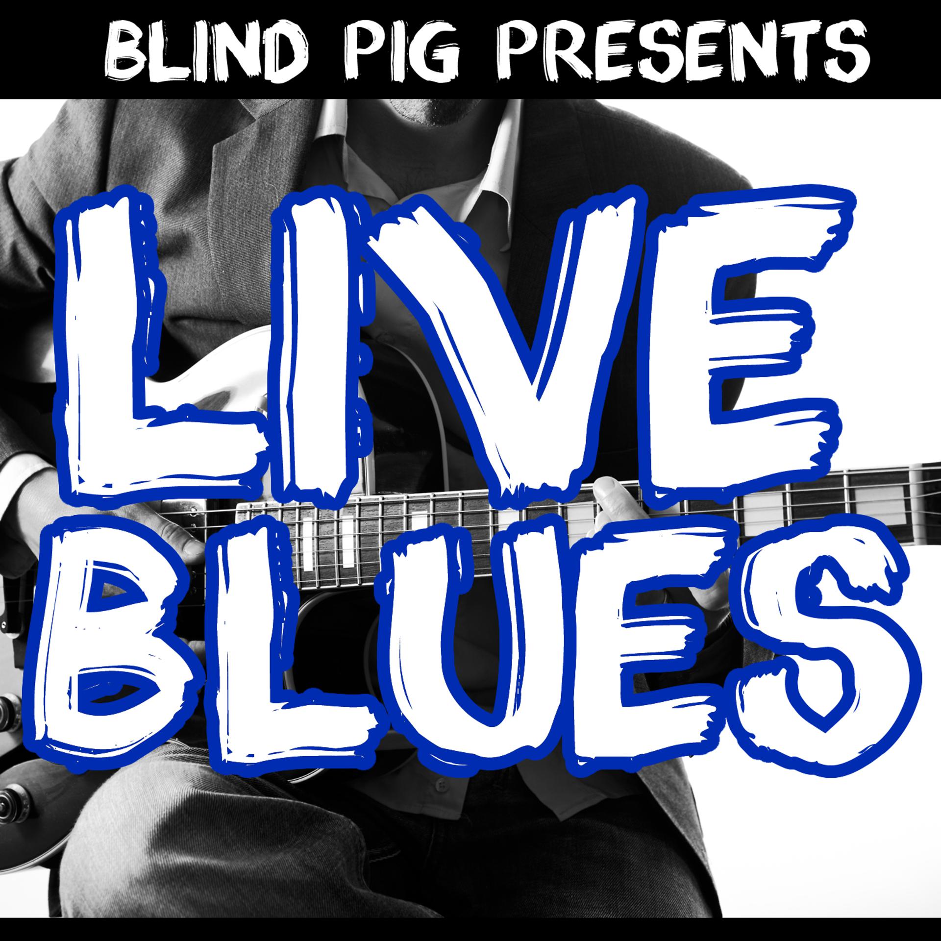 Постер альбома Blind Pig Presents: Live Blues