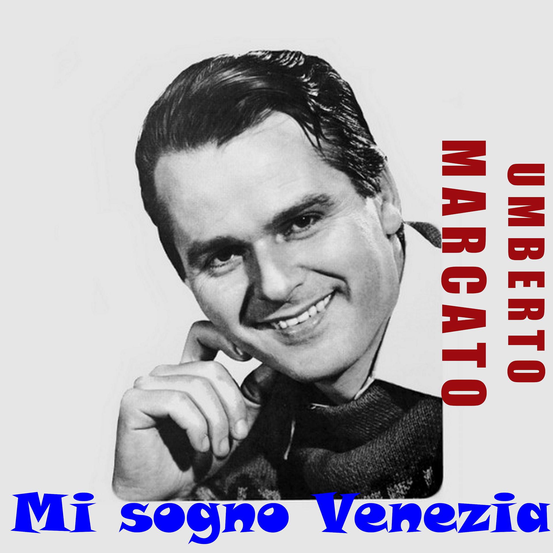 Постер альбома Mi sogno Venezia
