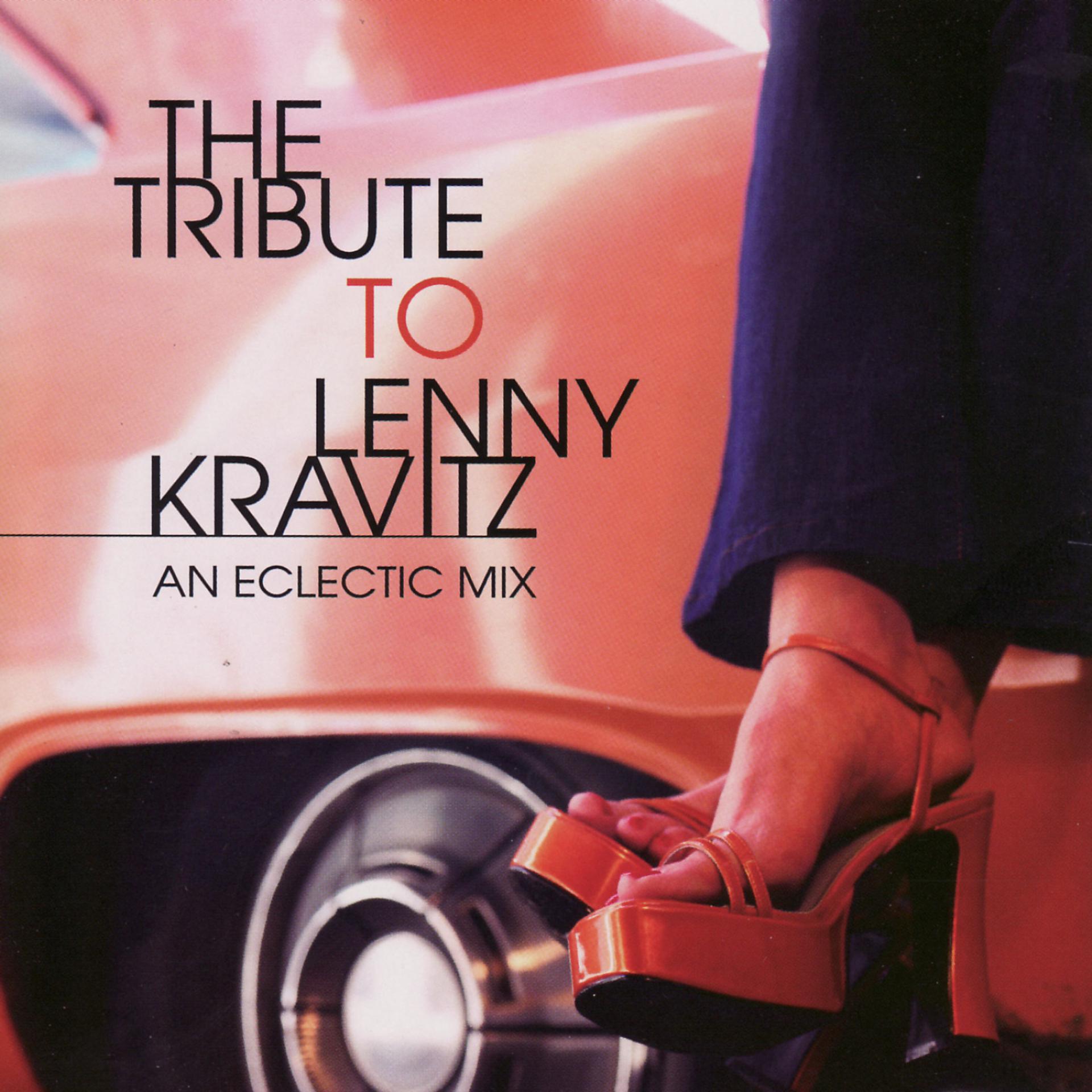 Постер альбома The Tribute To Lenny Kravitz: An Eclectic Mix