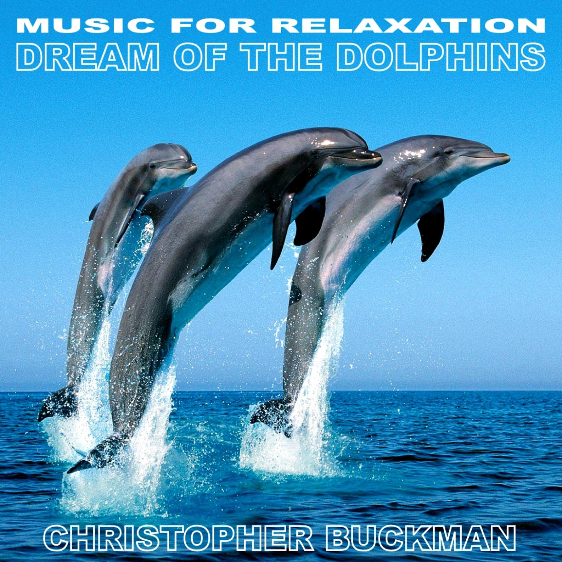 Постер альбома Dream of the Dolphins