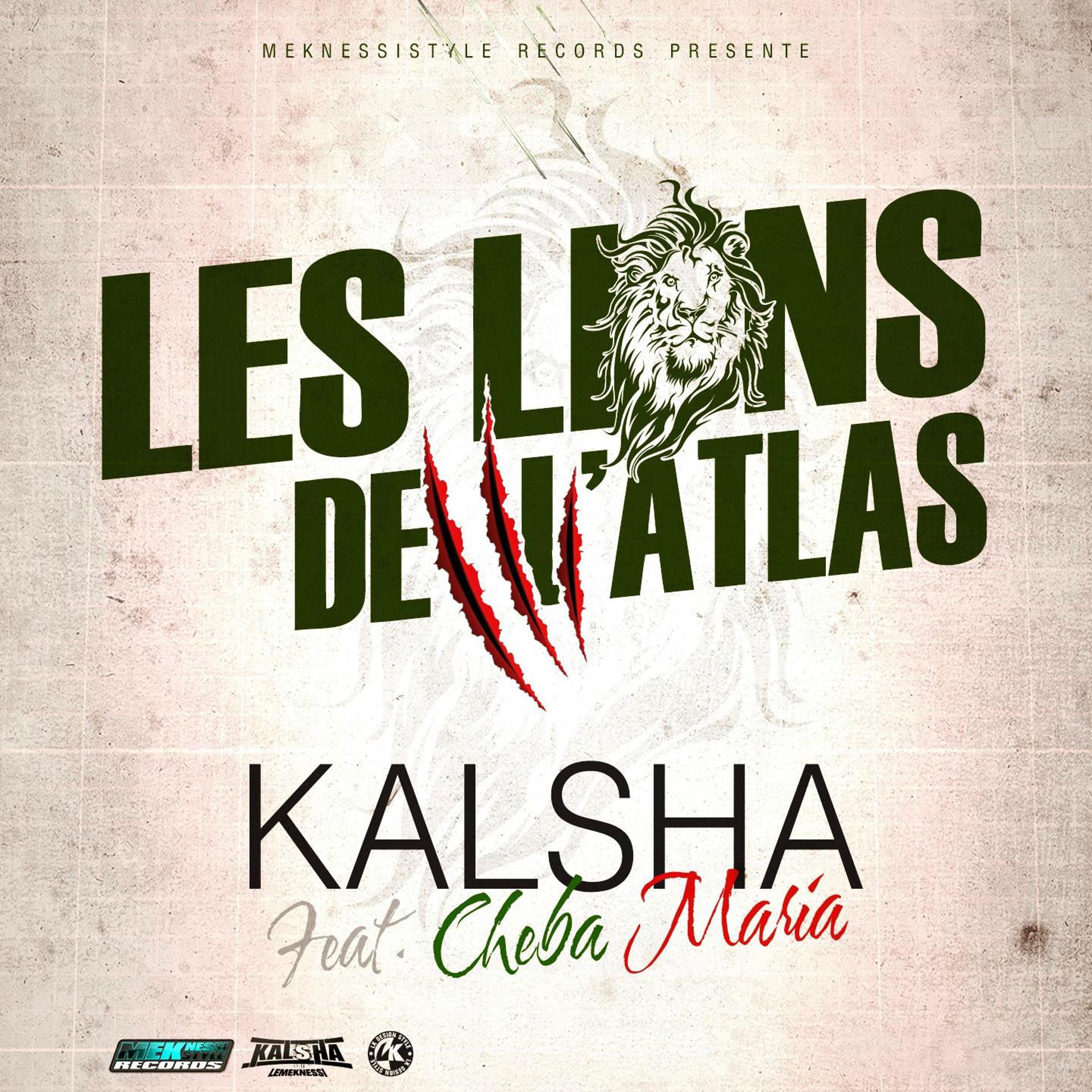 Постер альбома Lions de l'Atlas