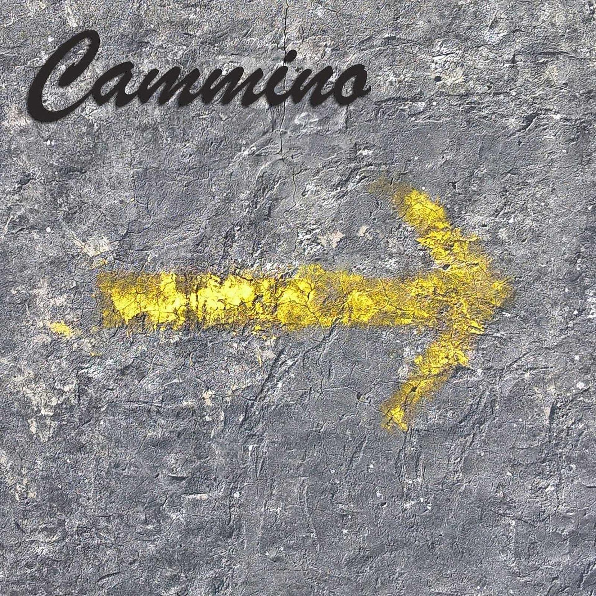 Постер альбома Cammino