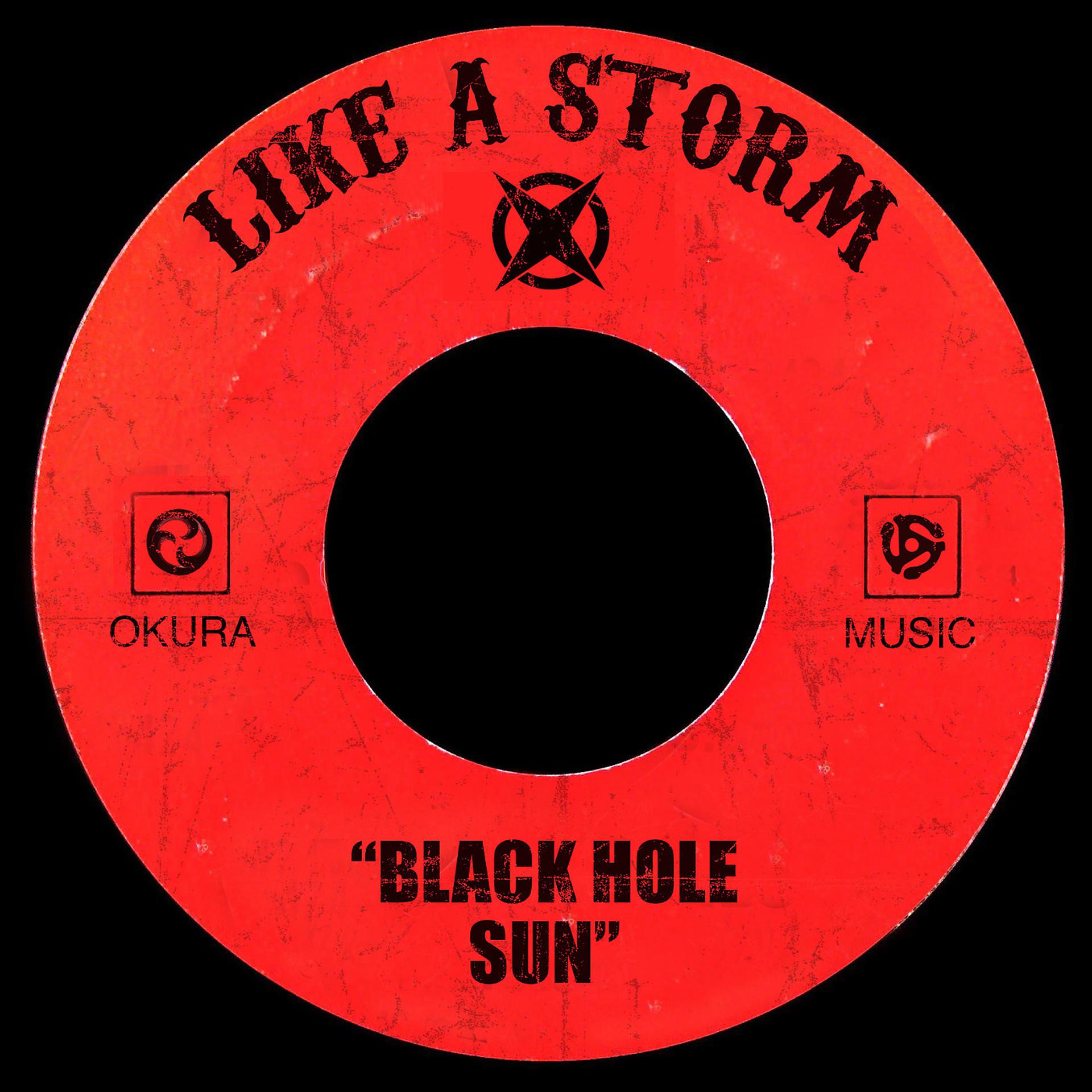 Постер альбома Black Hole Sun
