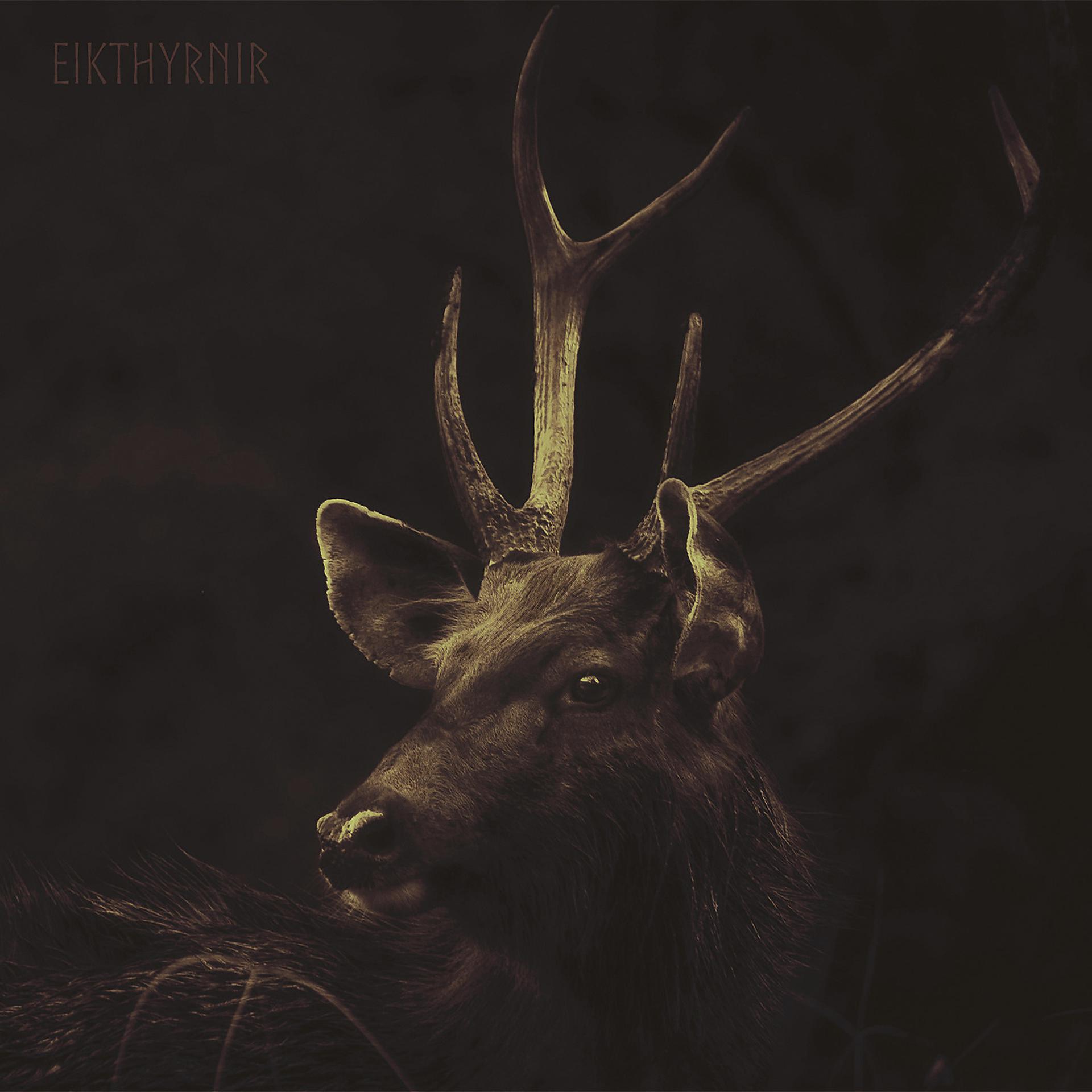 Постер альбома Eikthyrnir