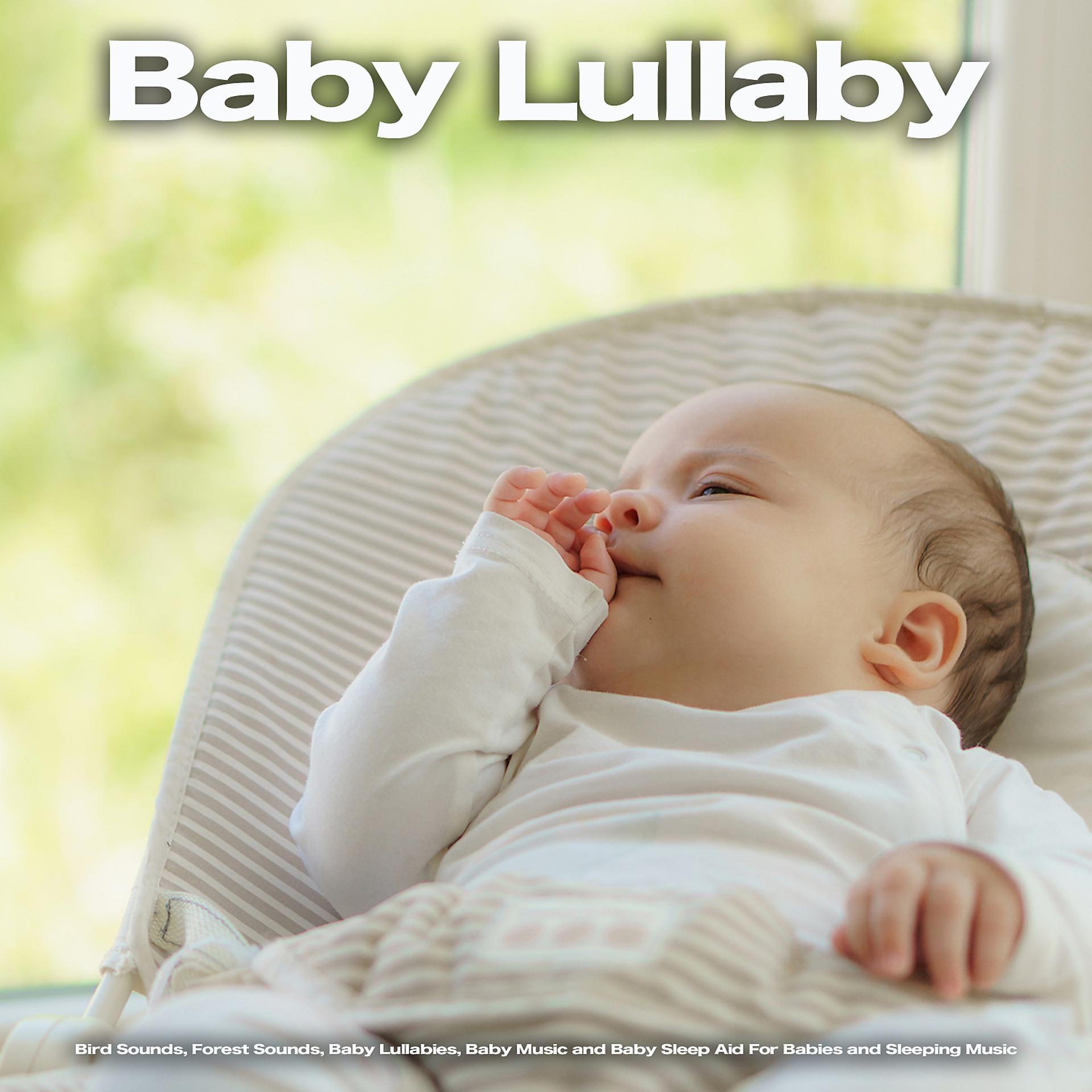 Постер альбома Baby Lullaby: Bird Sounds, Forest Sounds, Baby Lullabies, Baby Music and Baby Sleep Aid For Babies and Sleeping Music