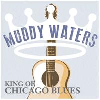 Постер альбома Muddy Waters - King of Chicago Blues, Volume. 01