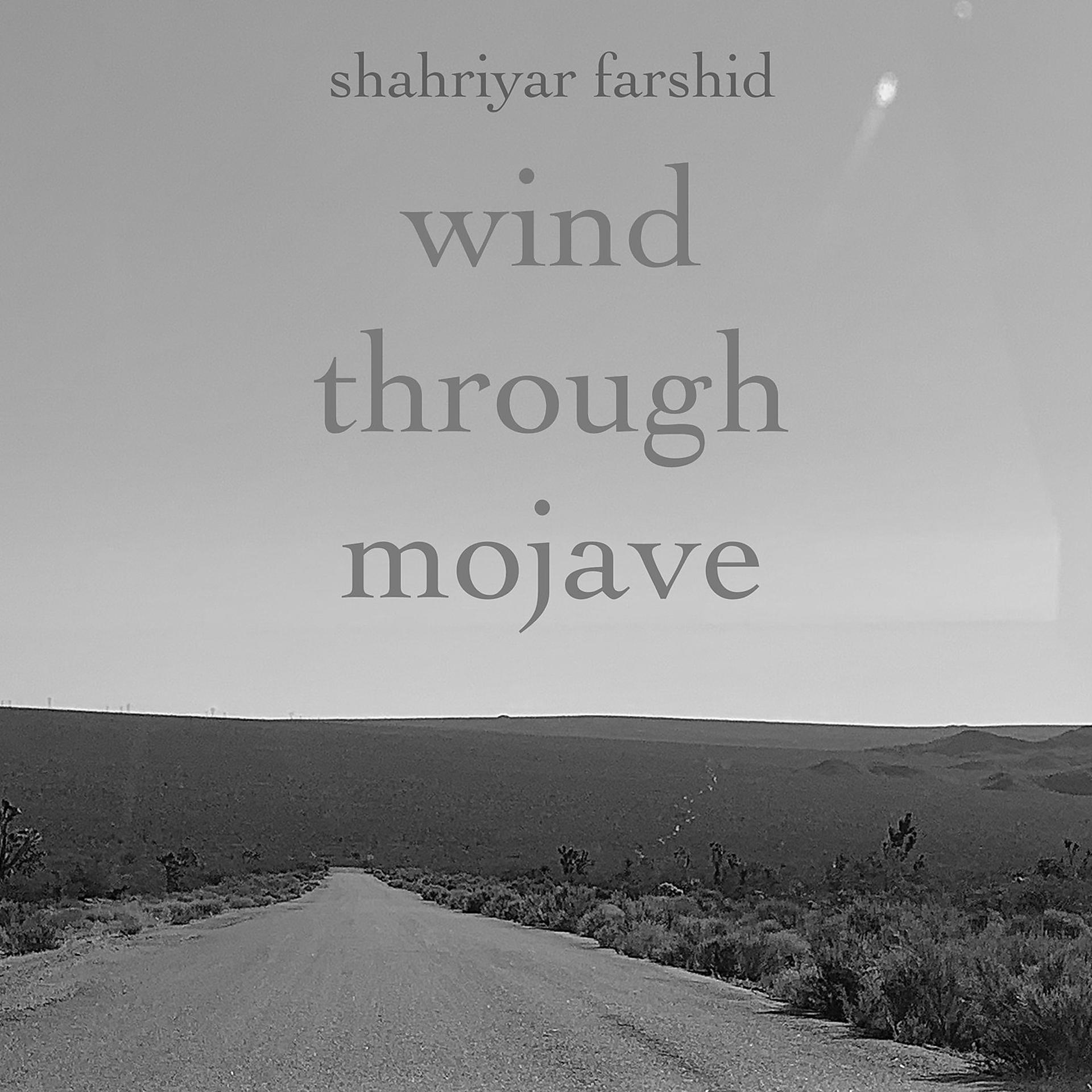 Постер альбома Wind Through Mojave