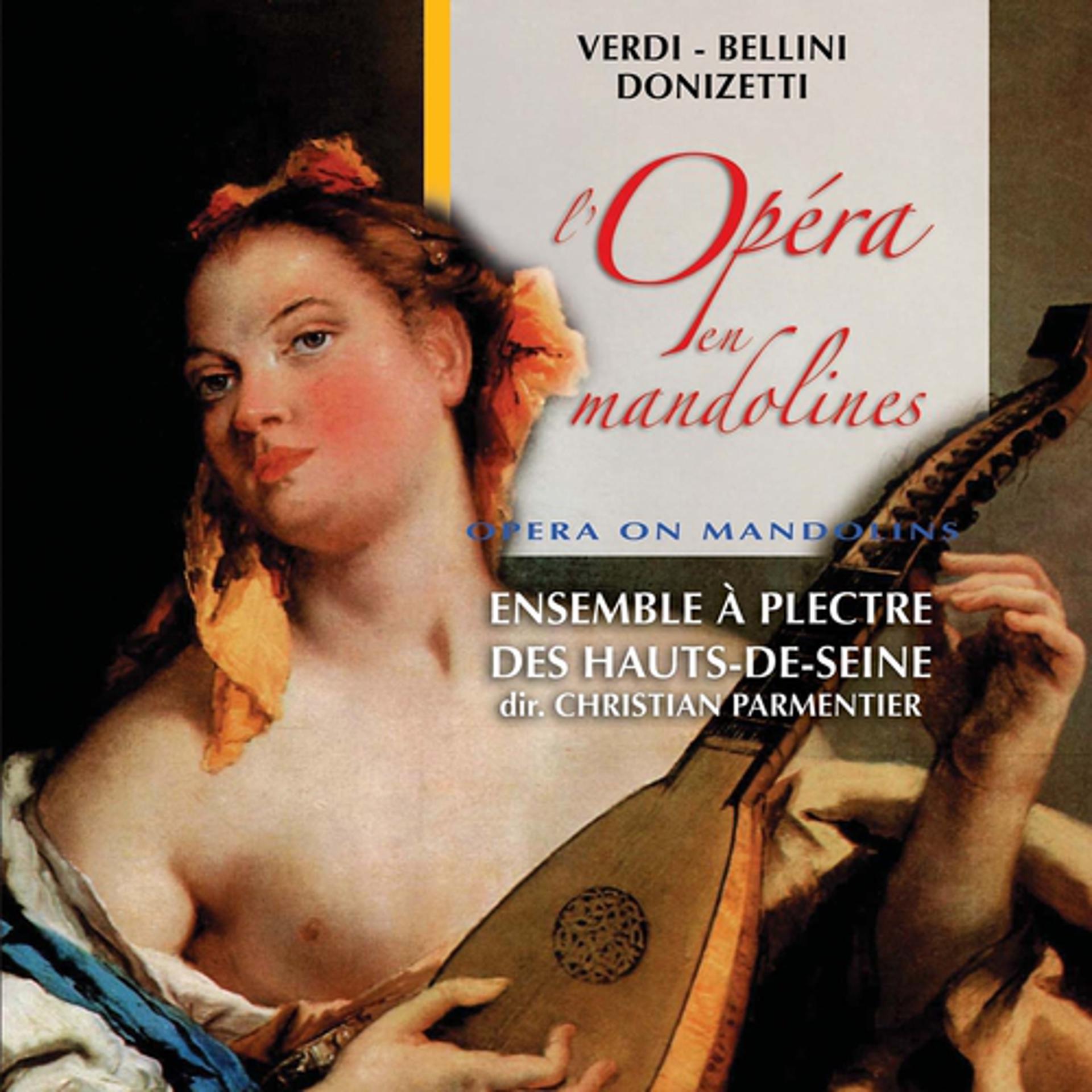 Постер альбома L'opéra en mandoline