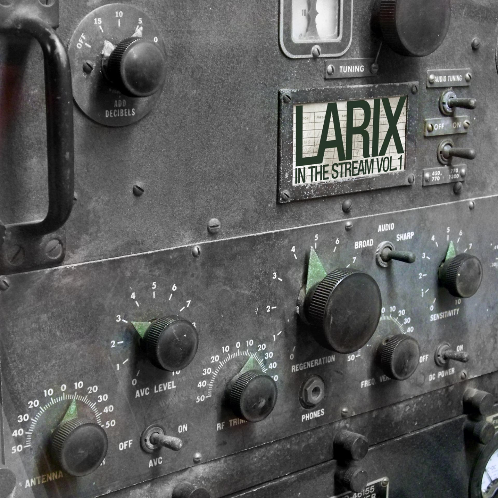 Постер альбома Larix in The Stream Vol.1