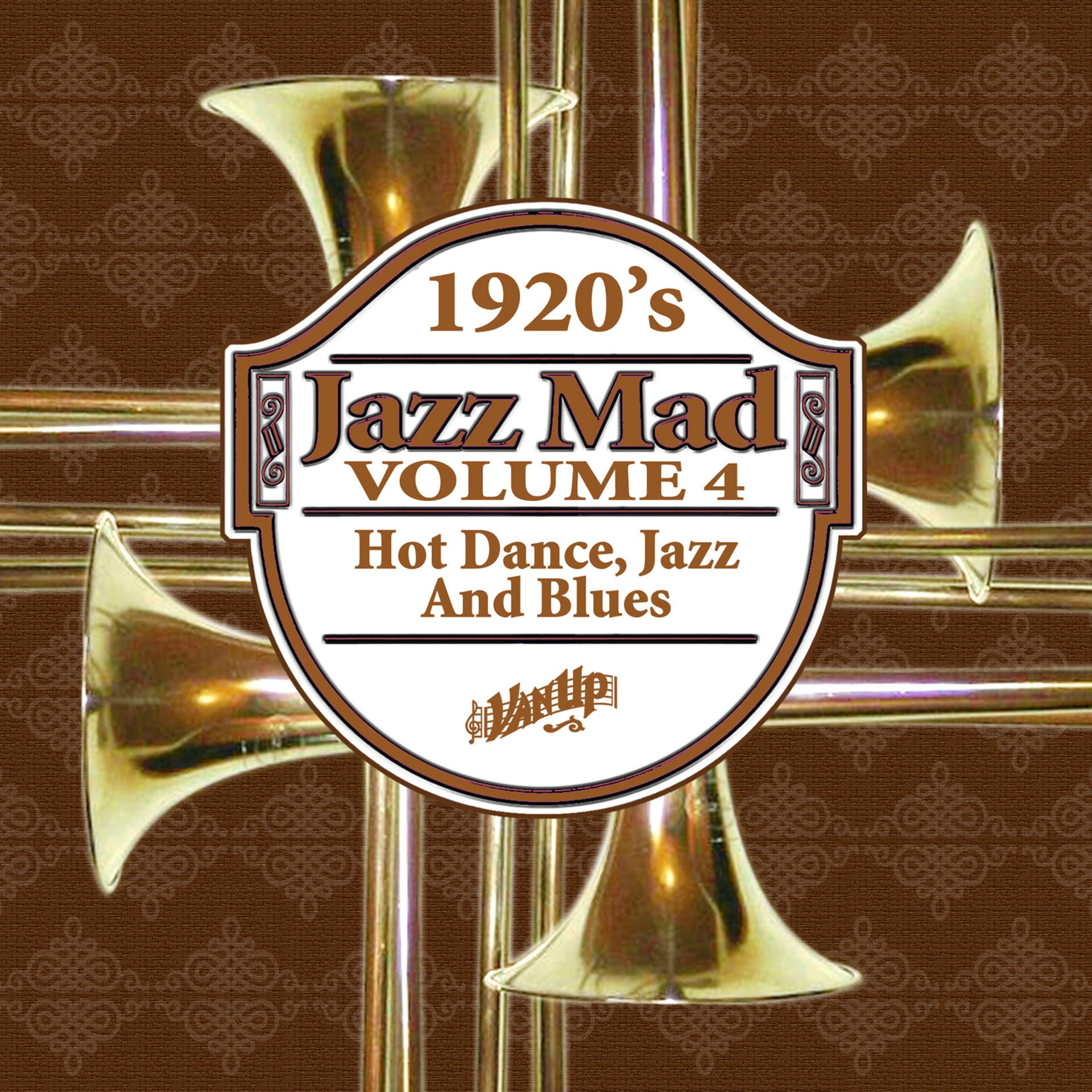 Постер альбома Jazz Mad, Vol. 4: 1920s Hot Dance, Jazz and Blues