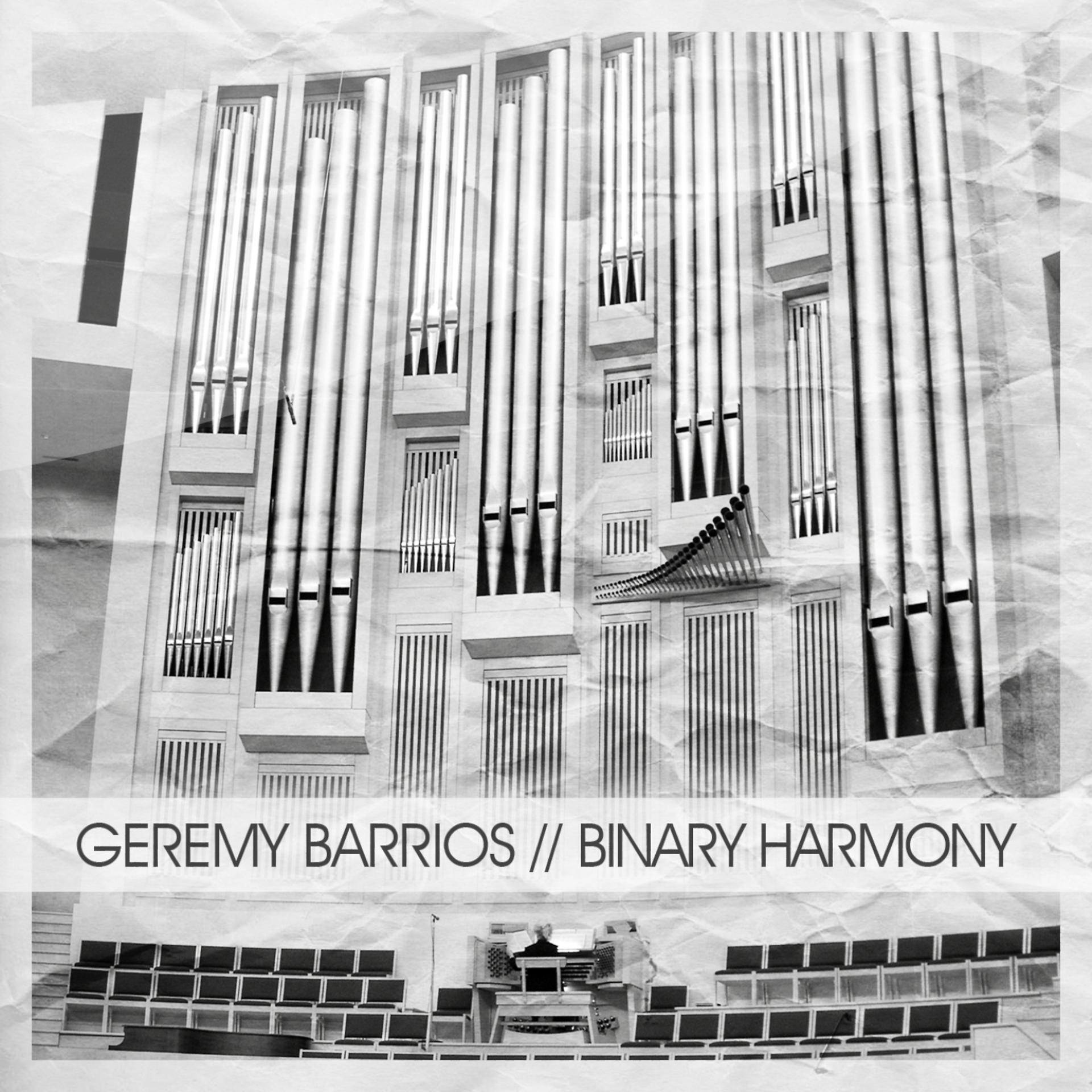 Постер альбома Binary Harmony