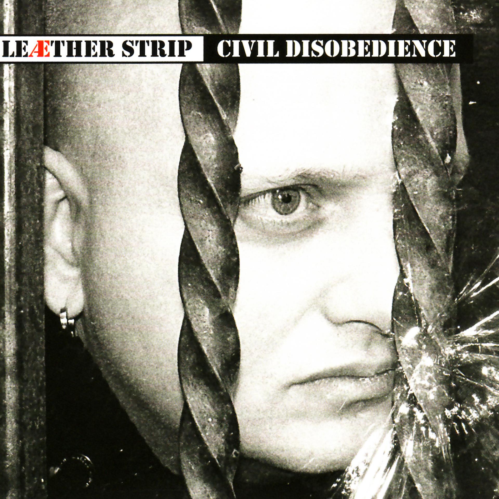 Постер альбома Civil Disobedience