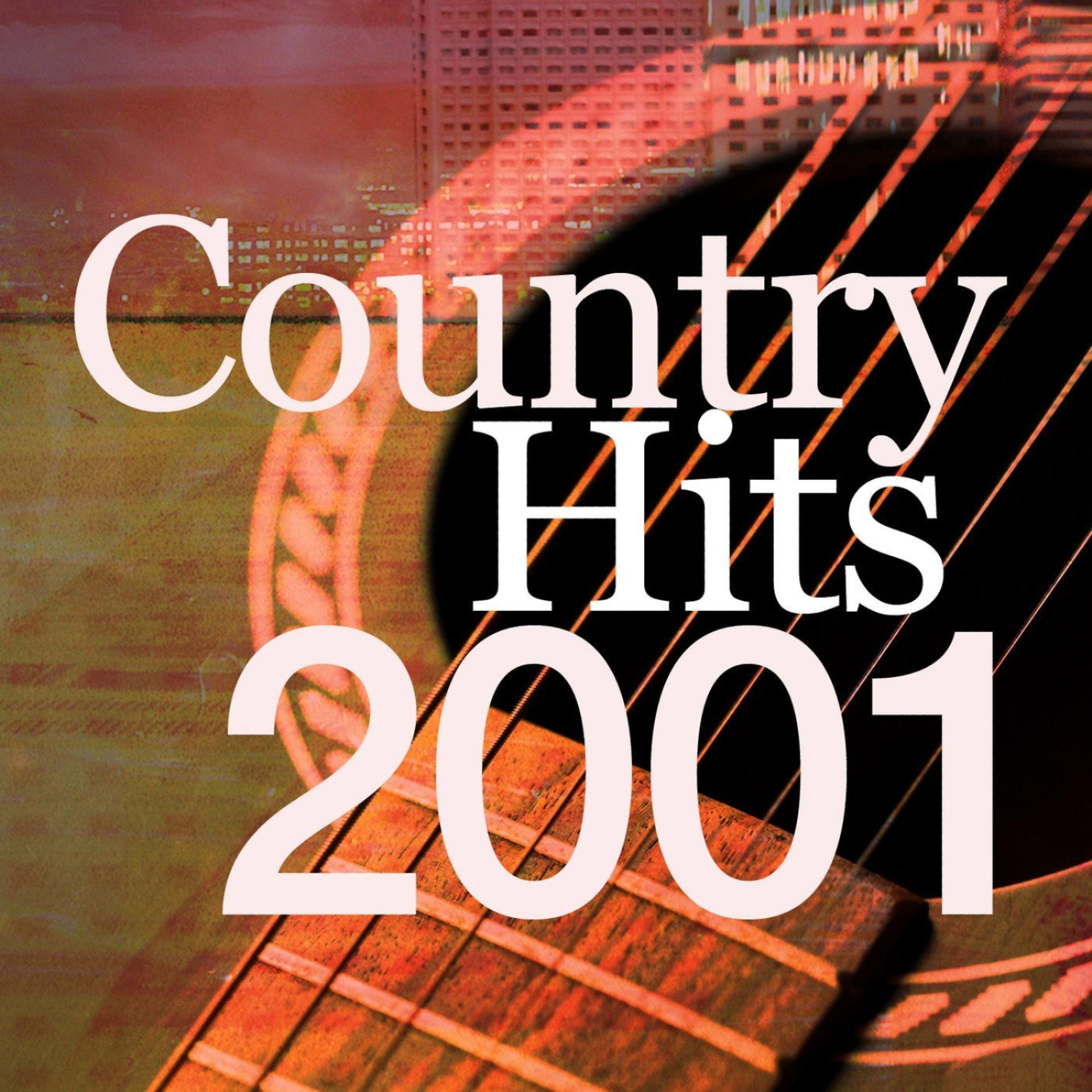 Постер альбома Country Hits 2001