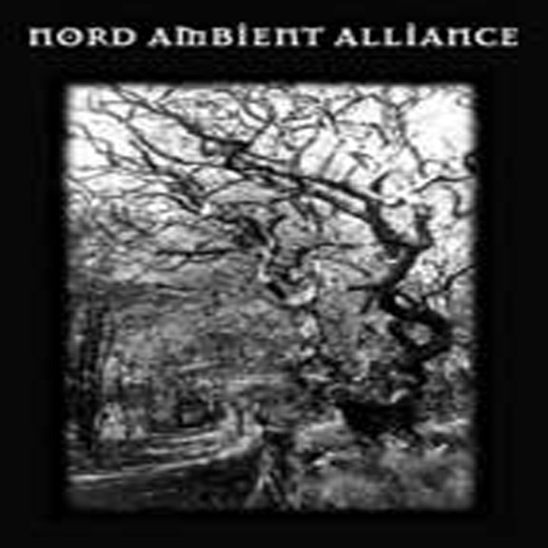 Постер альбома Nord Ambient Alliance