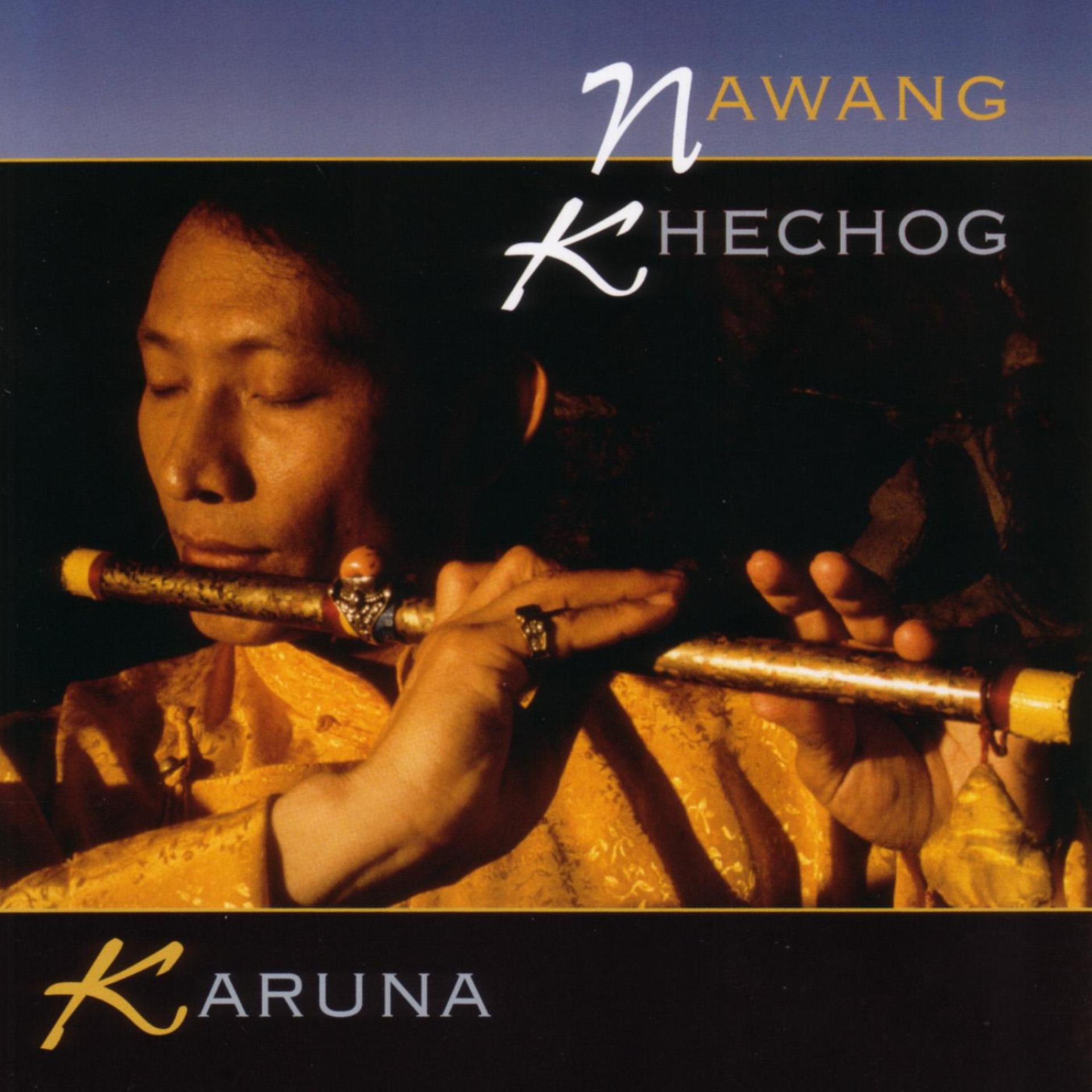 Постер альбома Karuna