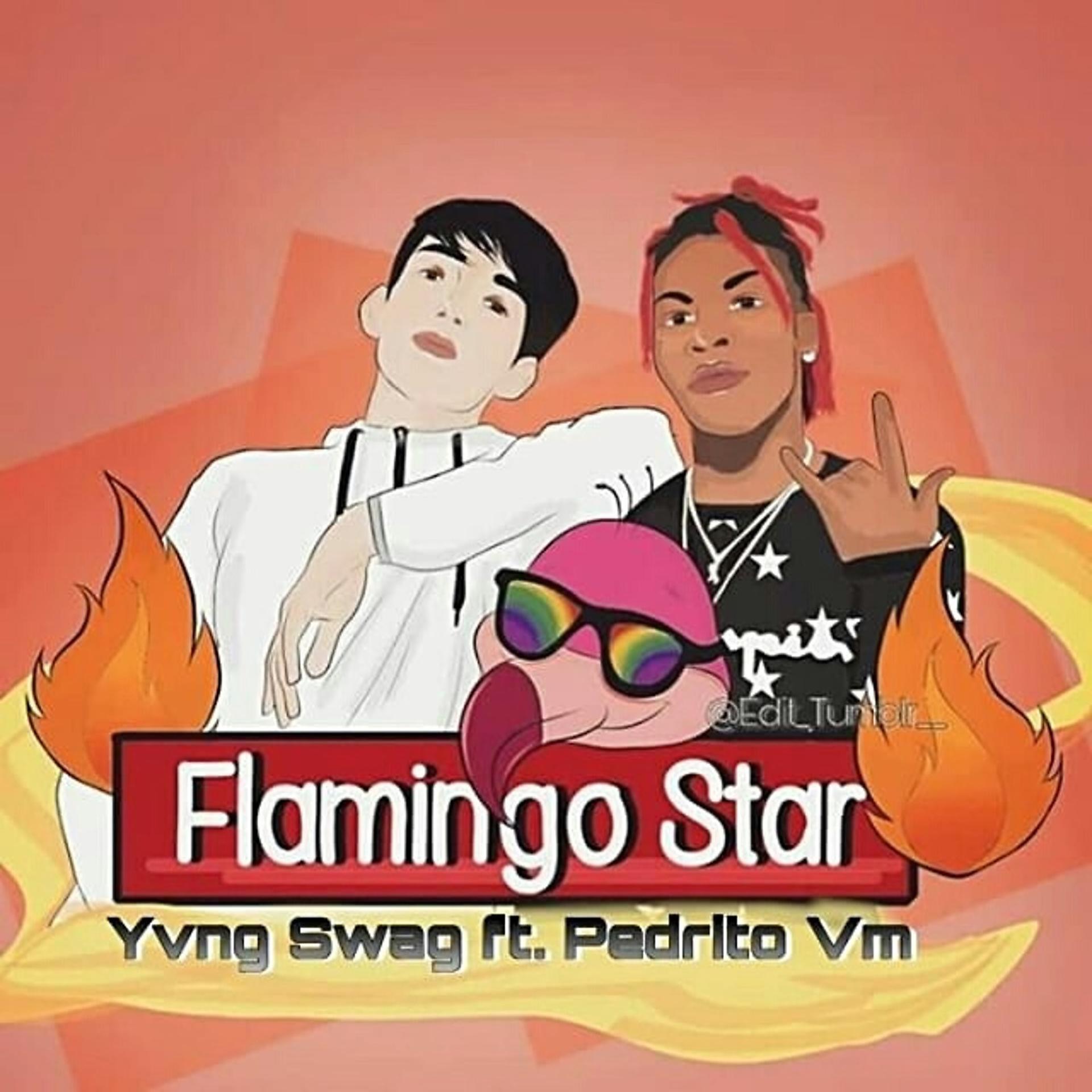 Постер альбома Flamingo Star