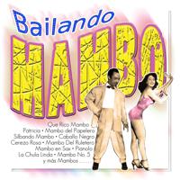 Постер альбома Bailando Mambo