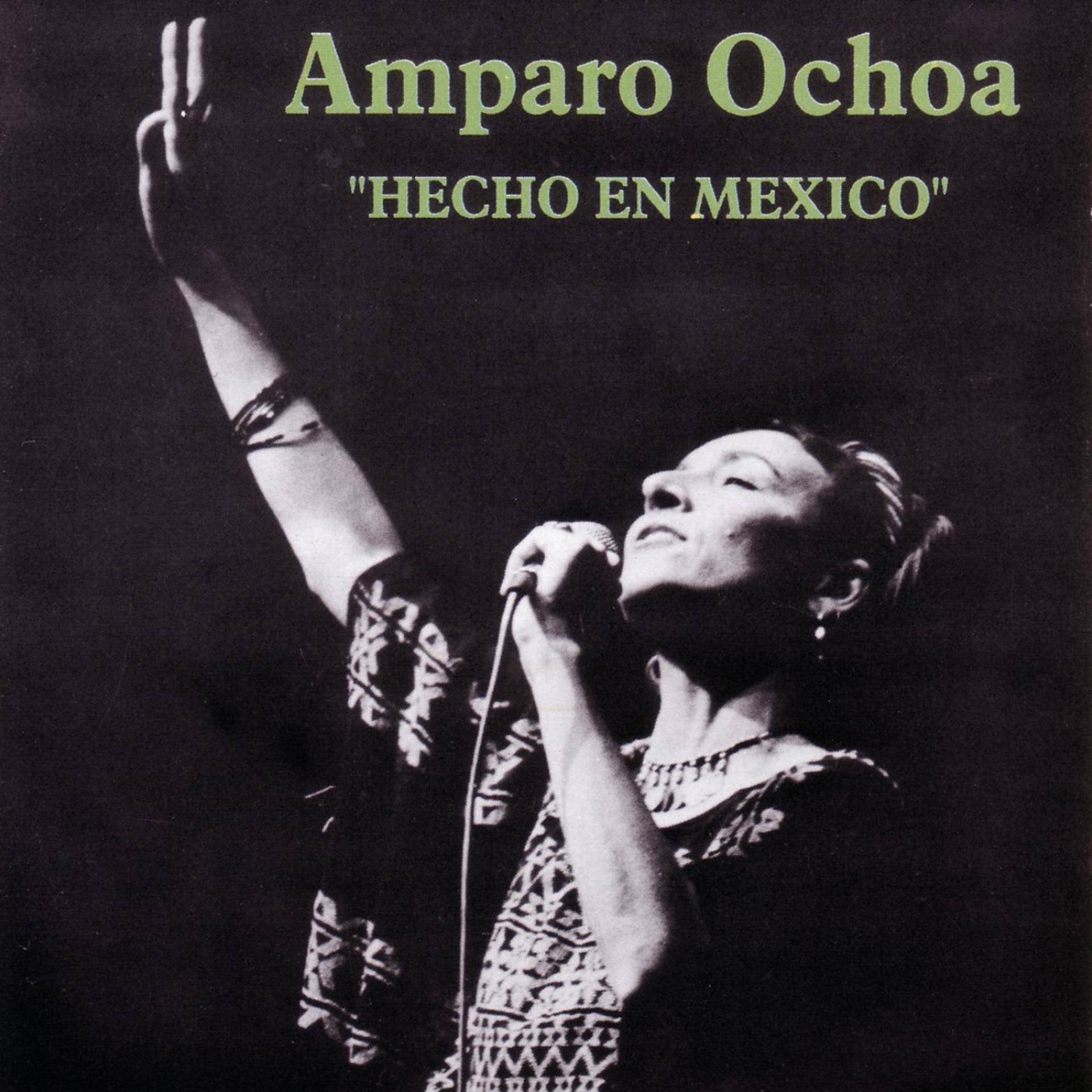 Постер альбома Hecho En Mexico